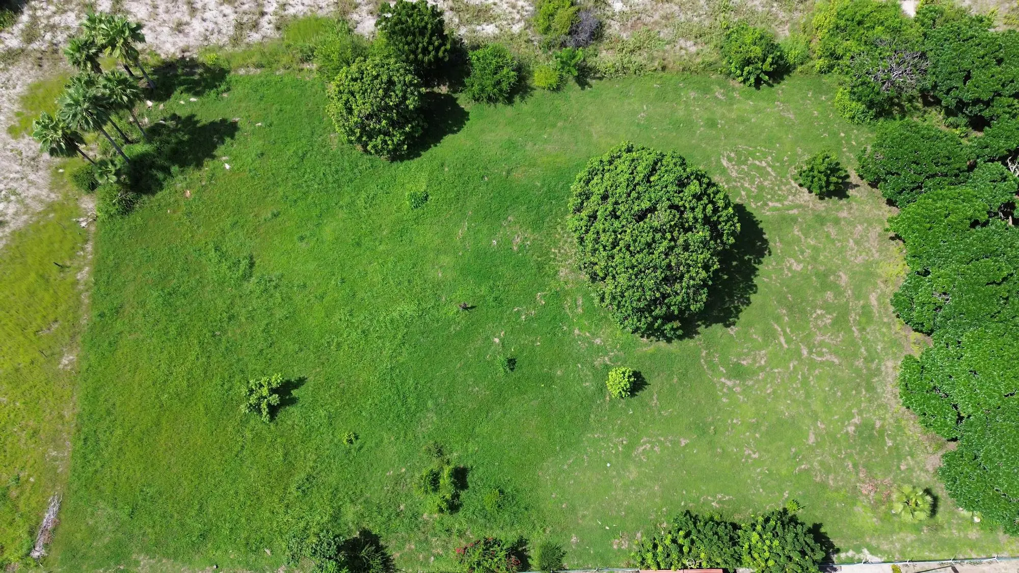 Punta Chame Calle D Lote 13 - Photo 27