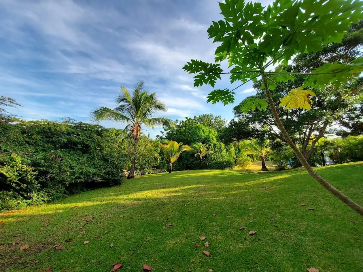 25 Ph Hacienda Pacífica #20 - Photo 32