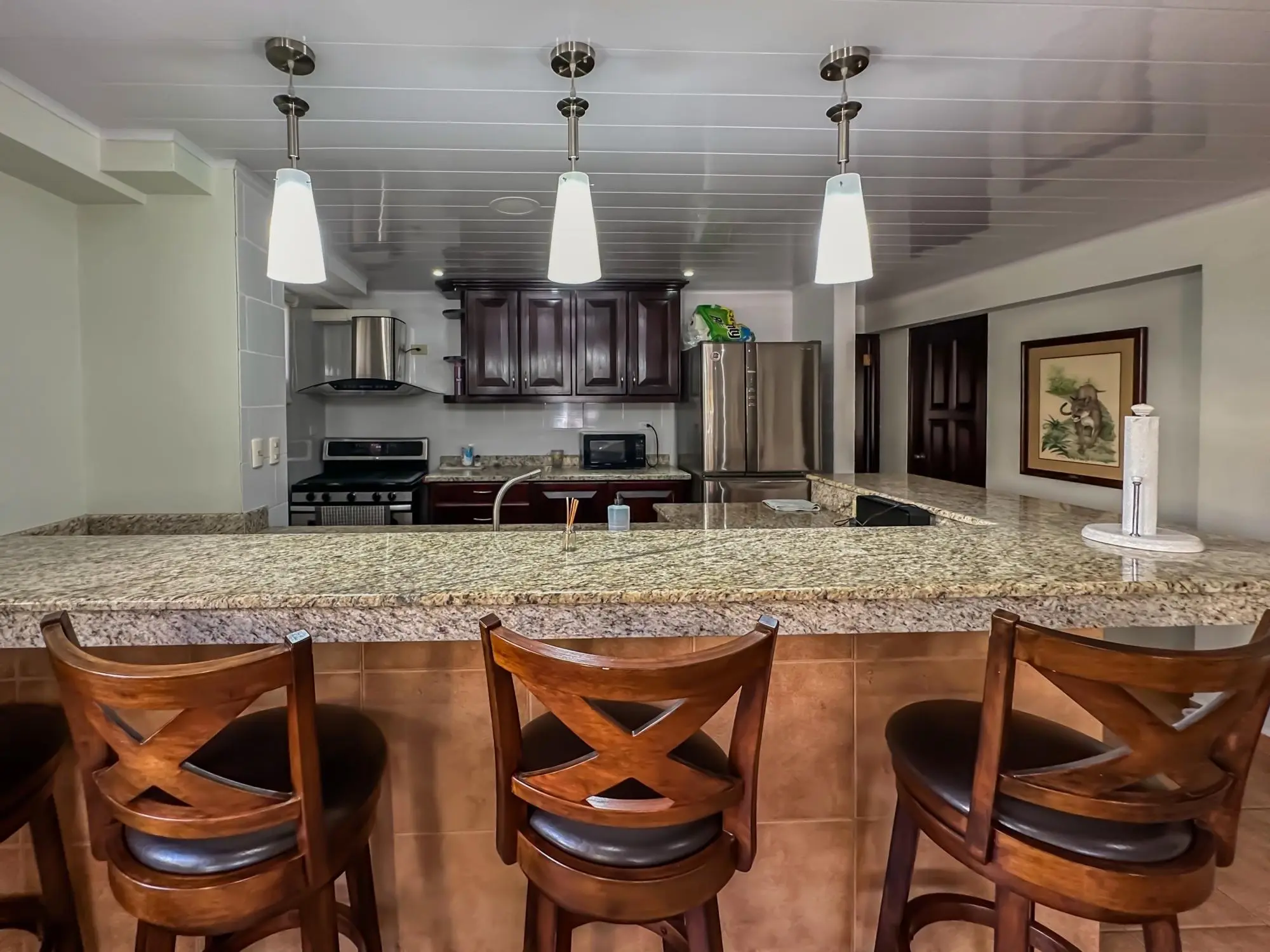 0 Chiriquí, La Barqueta, Unit E-2 #e-2 - Photo 27