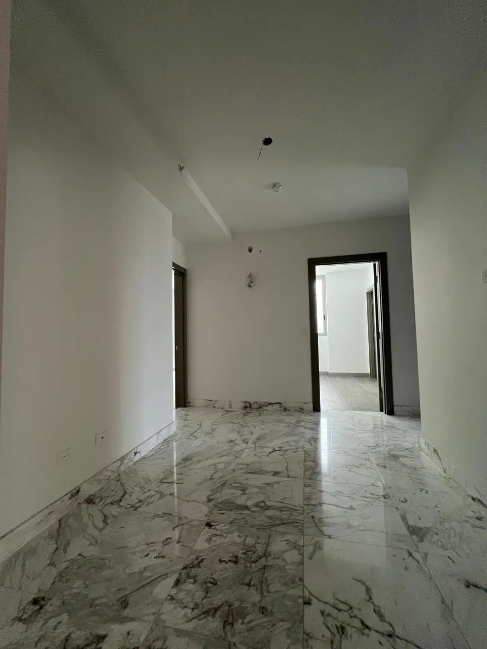 Ph Regalia, Paseo Del Mar Costa Del Este #1 - Photo 24