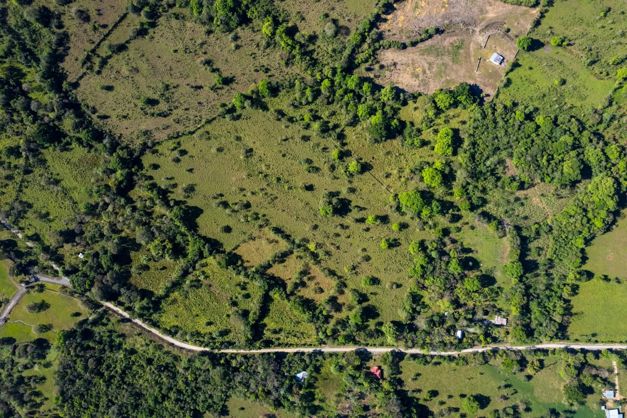 Rovira Abajo Potrerillos - Photo 30