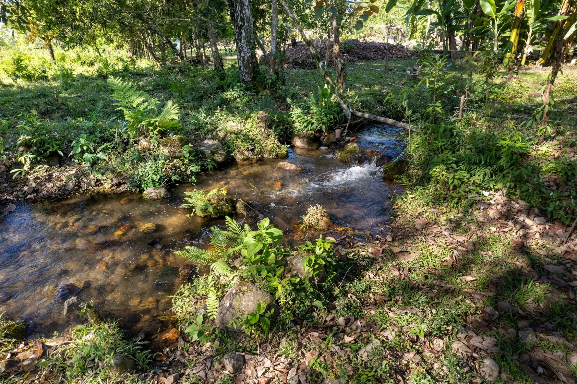 Rovira Abajo Potrerillos - Photo 24