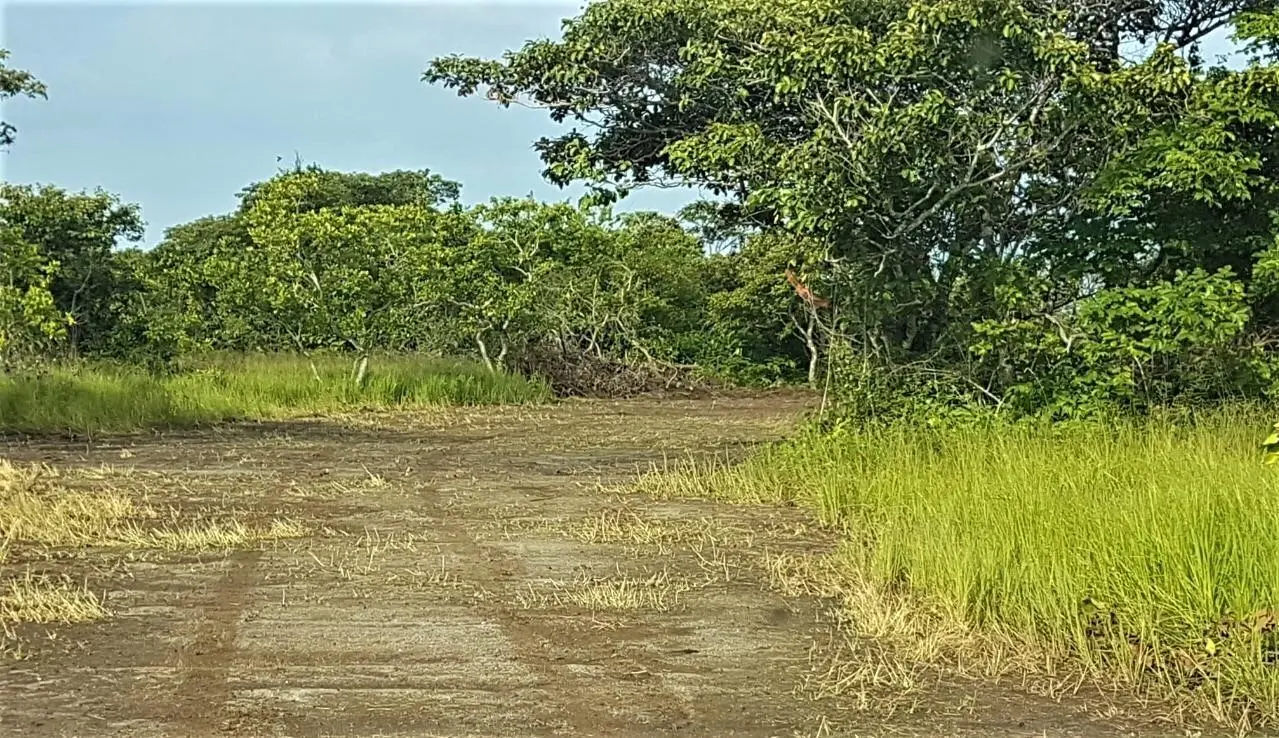 El Chiru, Anton, Panama - Photo 8