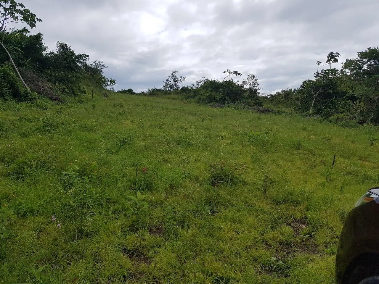 El Chiru, Anton, Panama - Photo 23