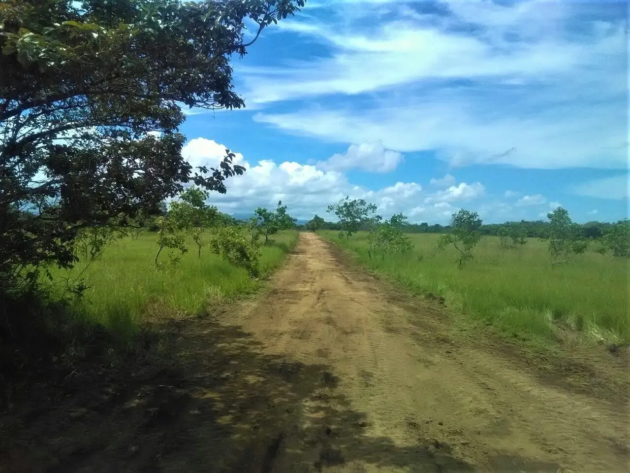 El Chiru, Anton, Panama - Photo 12