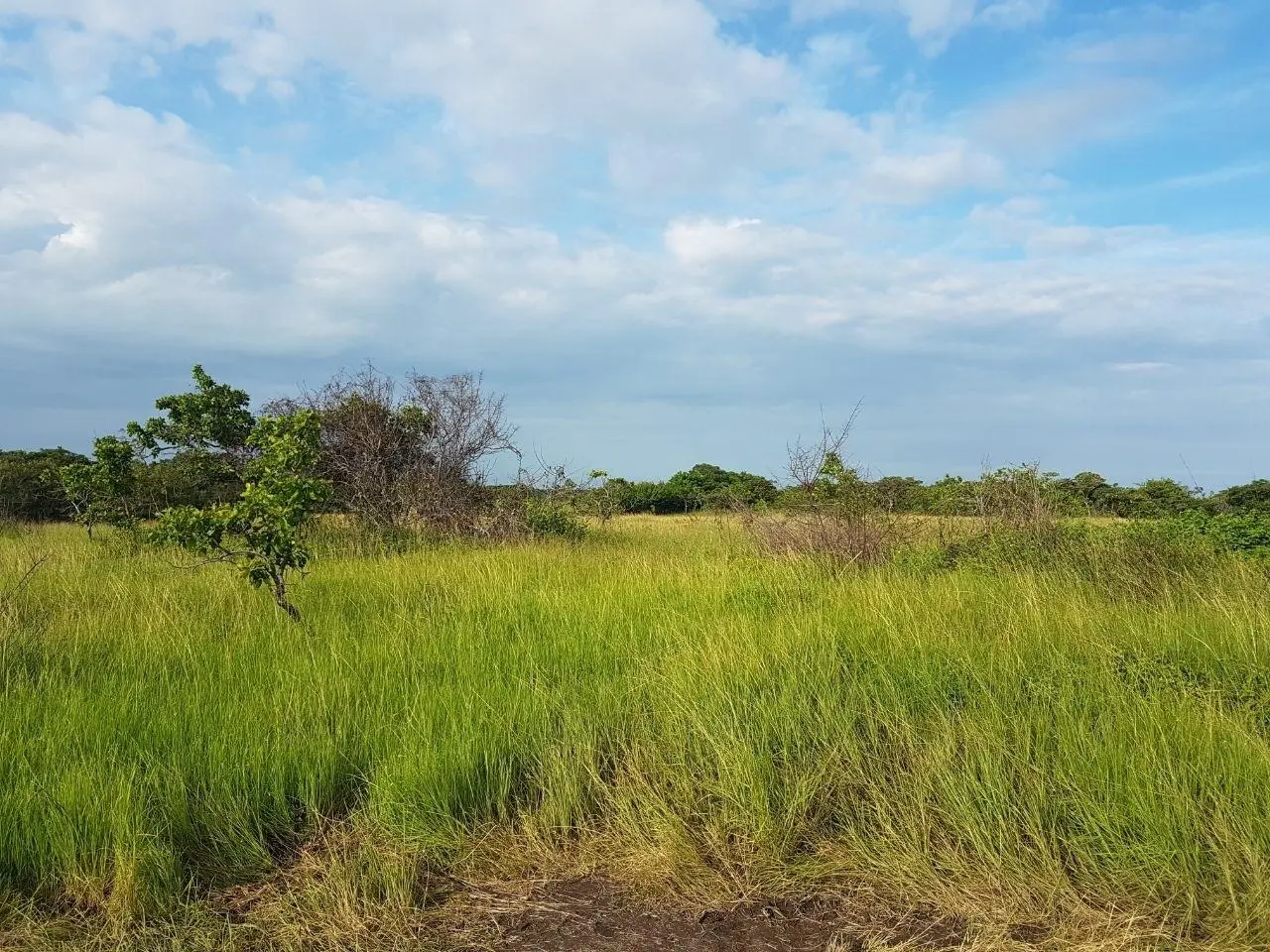 El Chiru, Anton, Panama - Photo 21