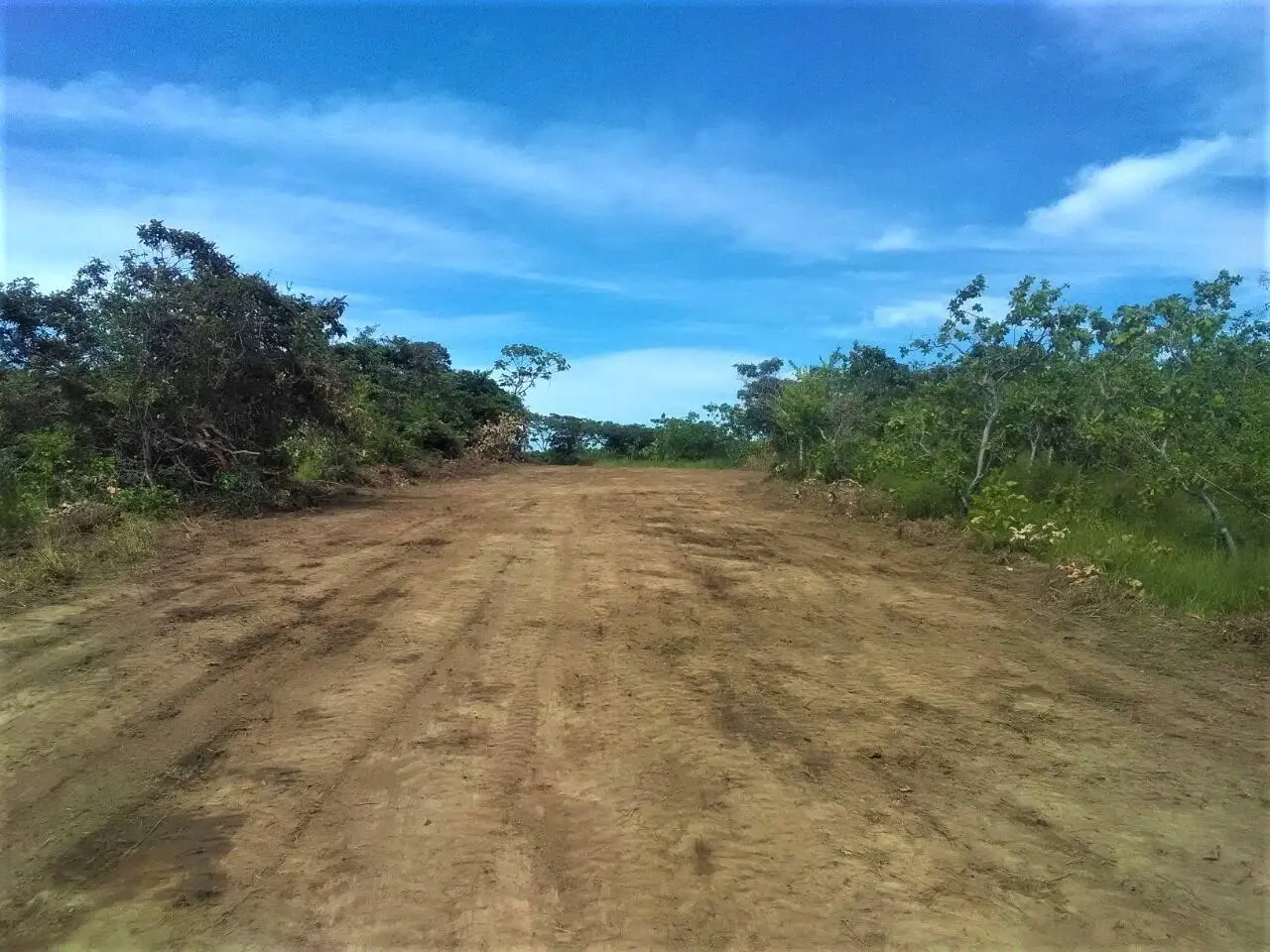 el chiru, anton, panama