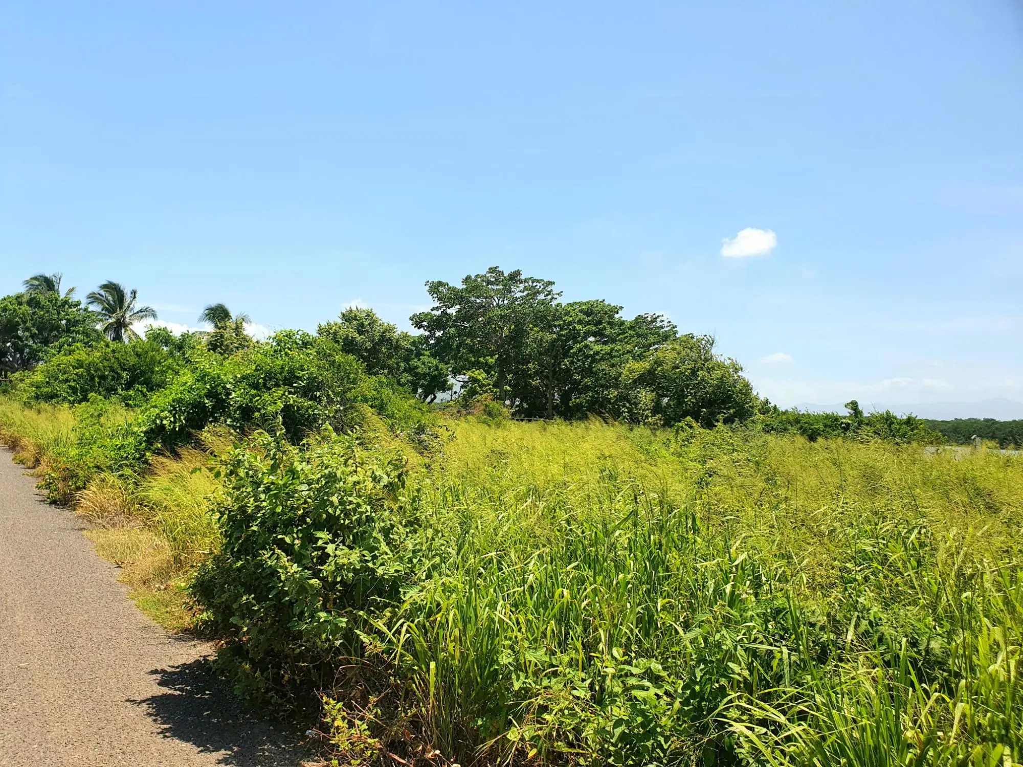 La Claridad, Punta Chame - Photo 20