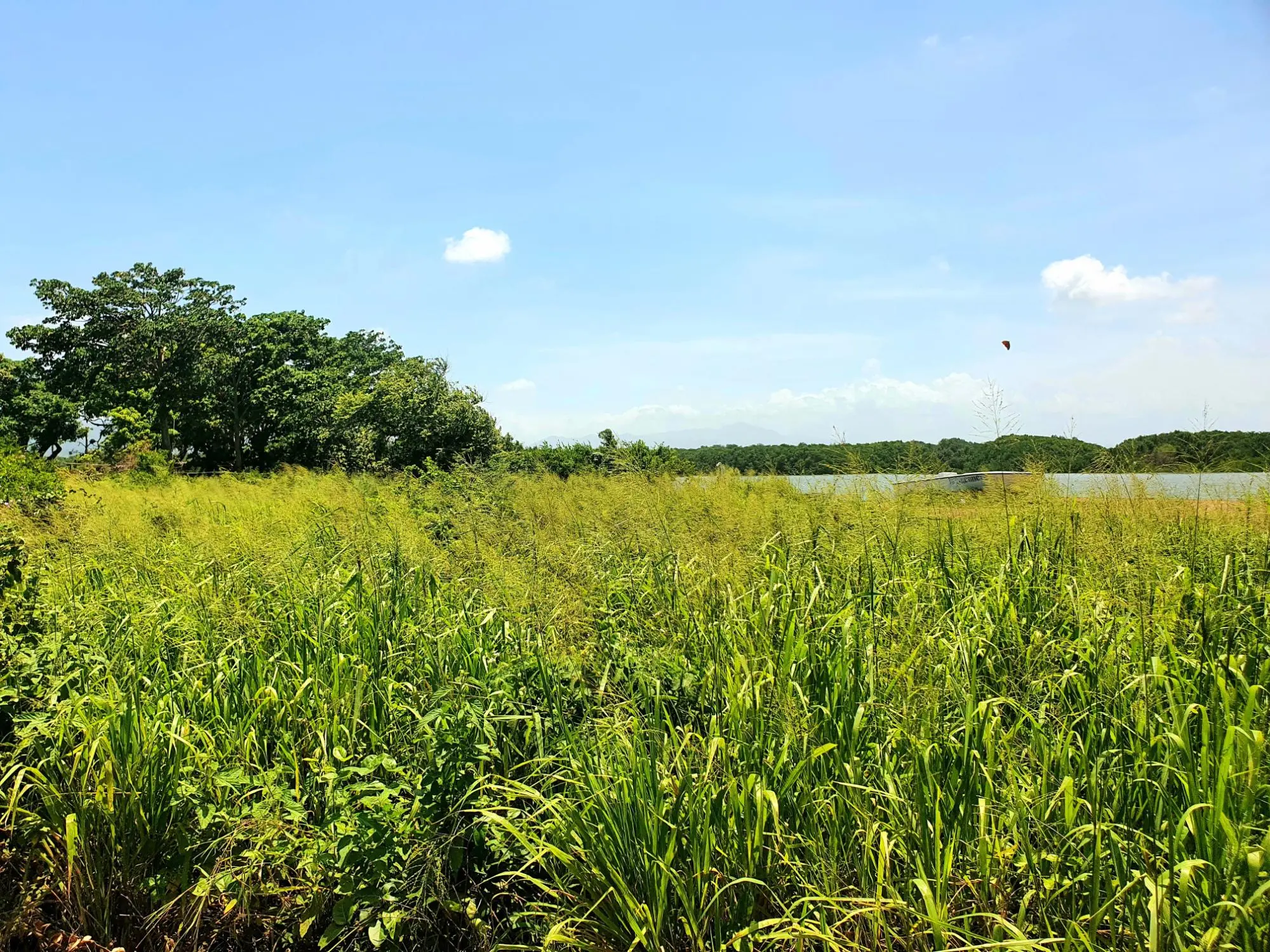 La Claridad, Punta Chame - Photo 11