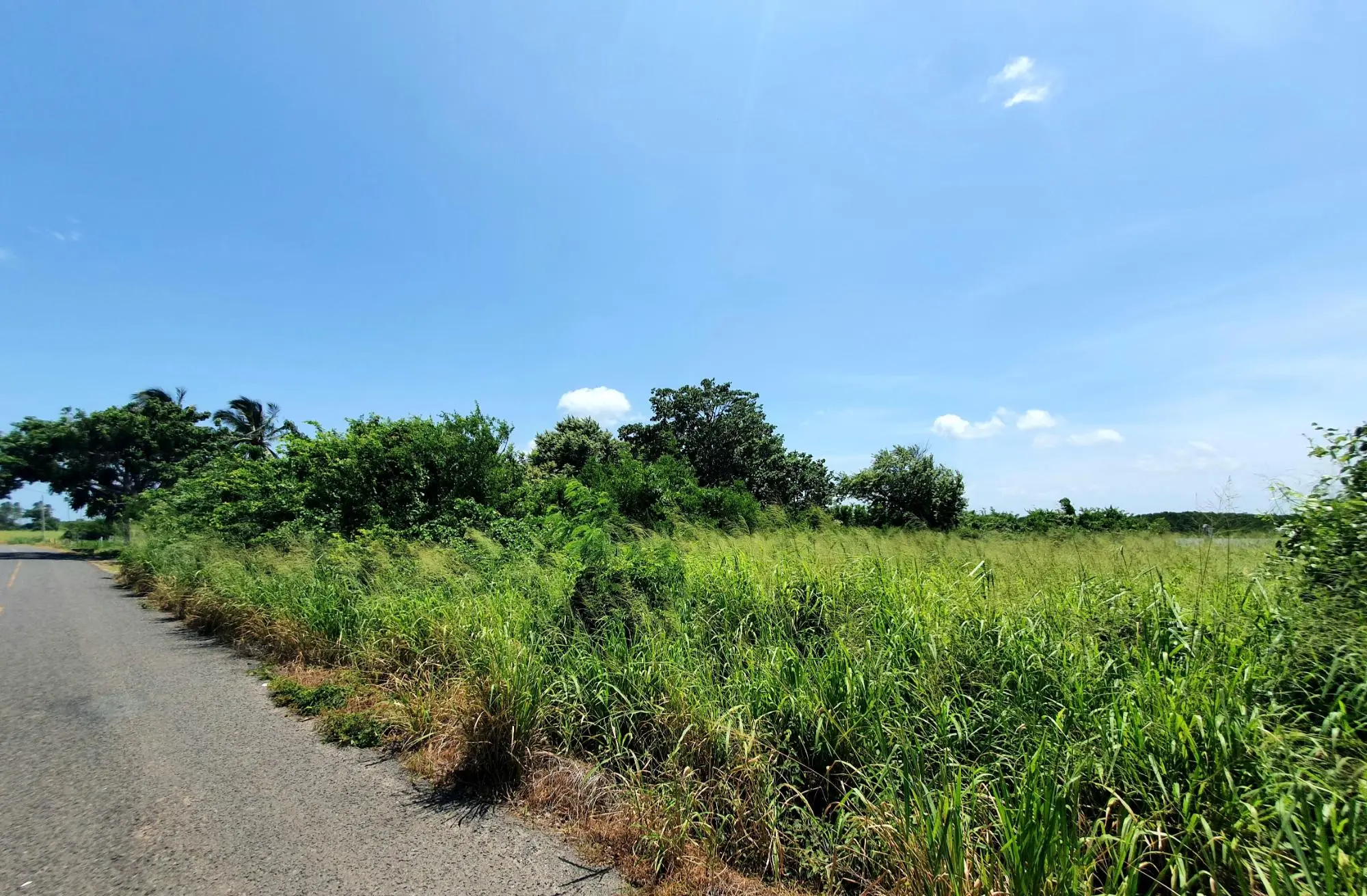La Claridad, Punta Chame - Photo 15