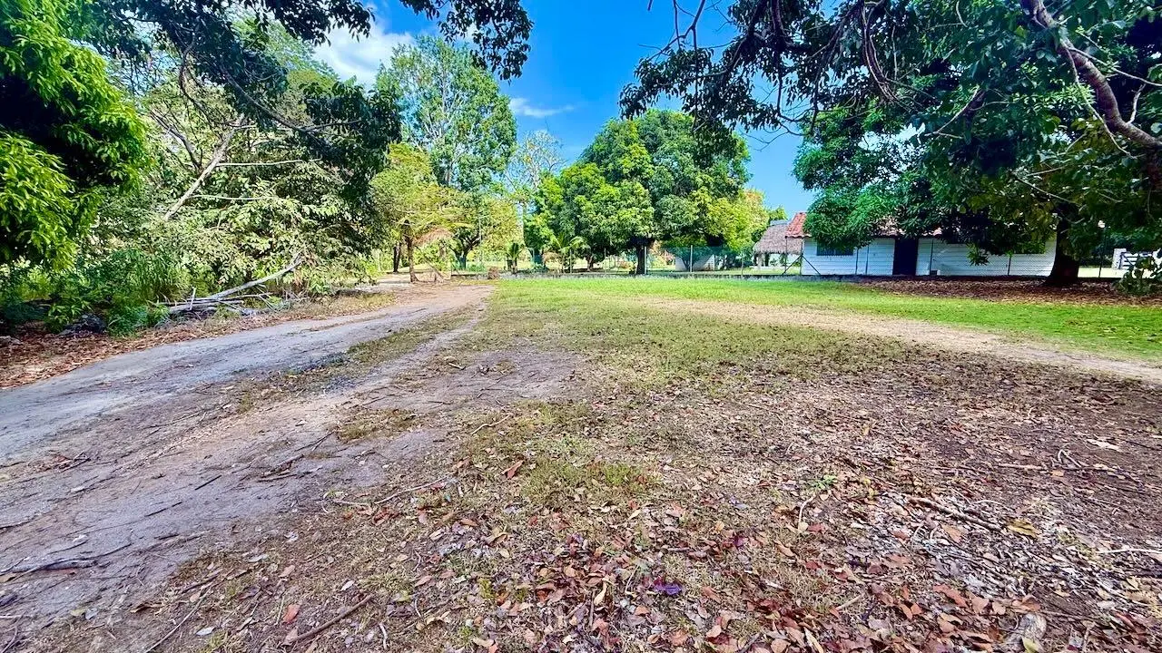 G4r3+g7w Nueva Gorgona - Photo 21