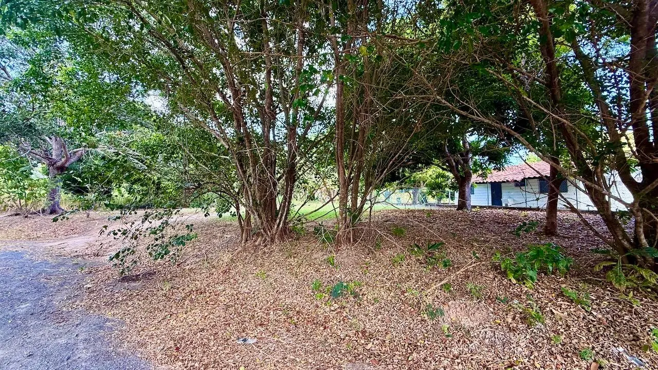 G4r3+g7w Nueva Gorgona - Photo 5