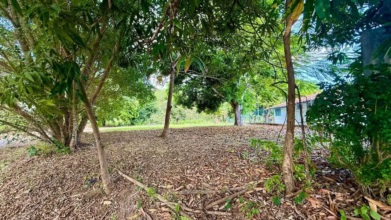 G4r3+g7w Nueva Gorgona - Photo 9