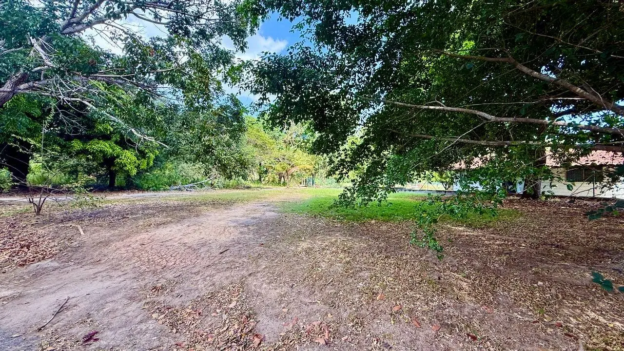 g4r3+g7w nueva gorgona