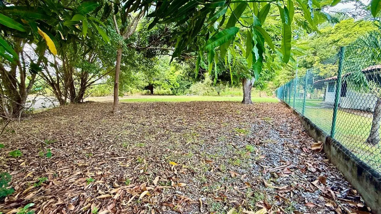 G4r3+g7w Nueva Gorgona - Photo 13