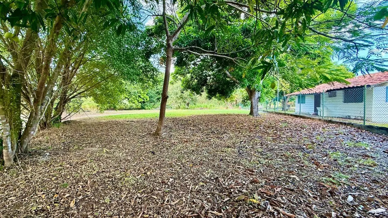 G4r3+g7w Nueva Gorgona - Photo 12