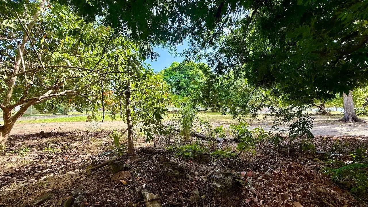 G4r3+g7w Nueva Gorgona - Photo 25