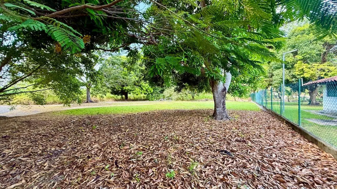 G4r3+g7w Nueva Gorgona - Photo 17