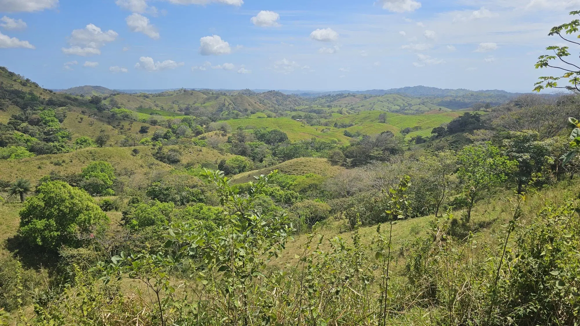 Calle Los Santos, Las Tablas, Nuario - Photo 3