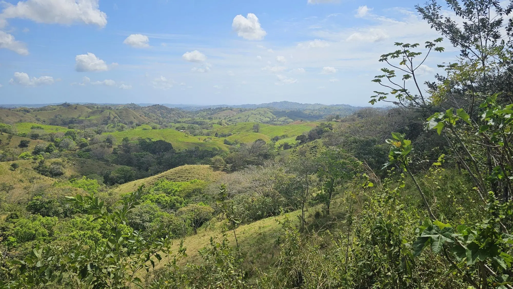 Calle Los Santos, Las Tablas, Nuario - Photo 27