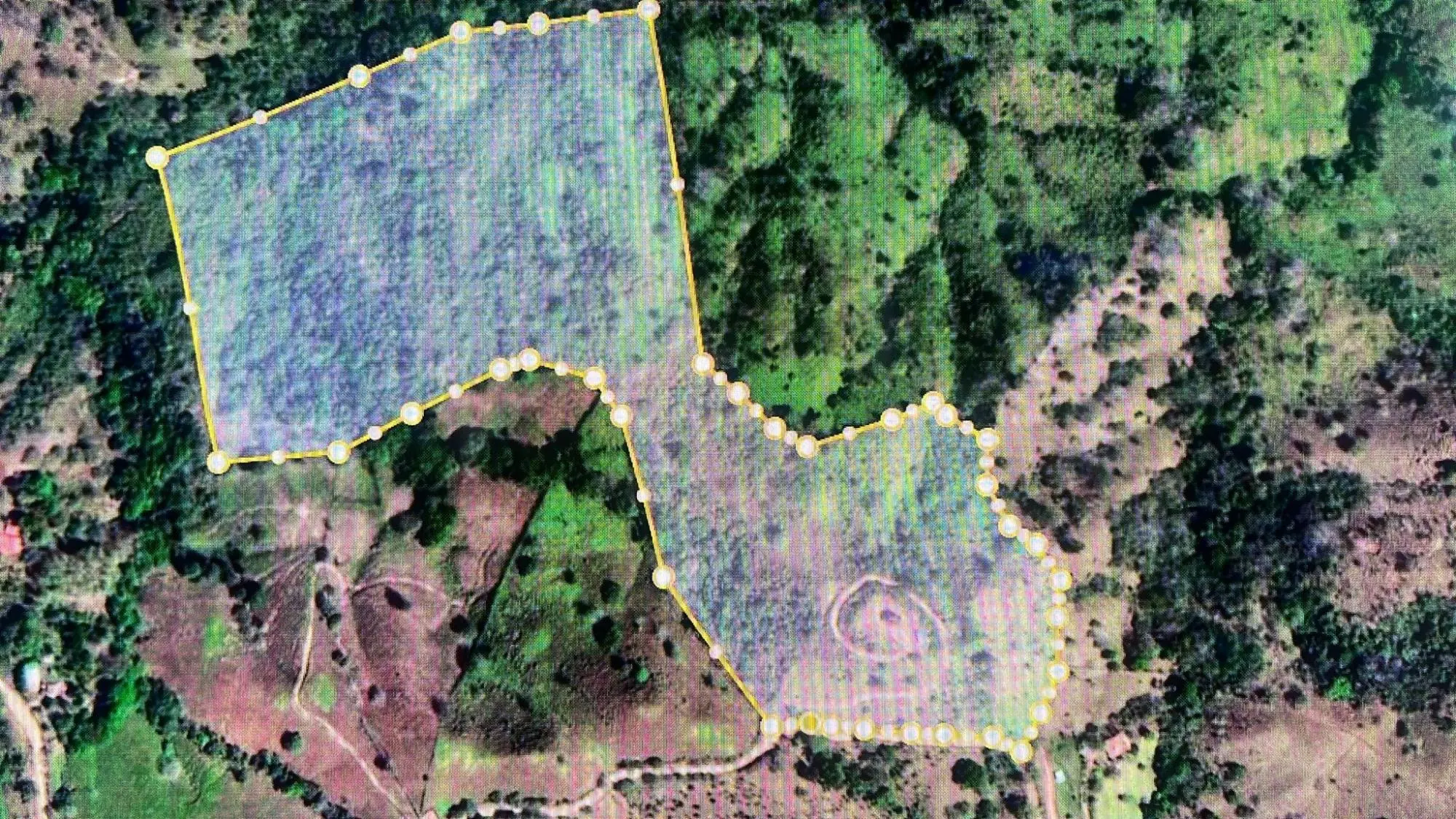 Calle Los Santos, Las Tablas, Nuario - Photo 34