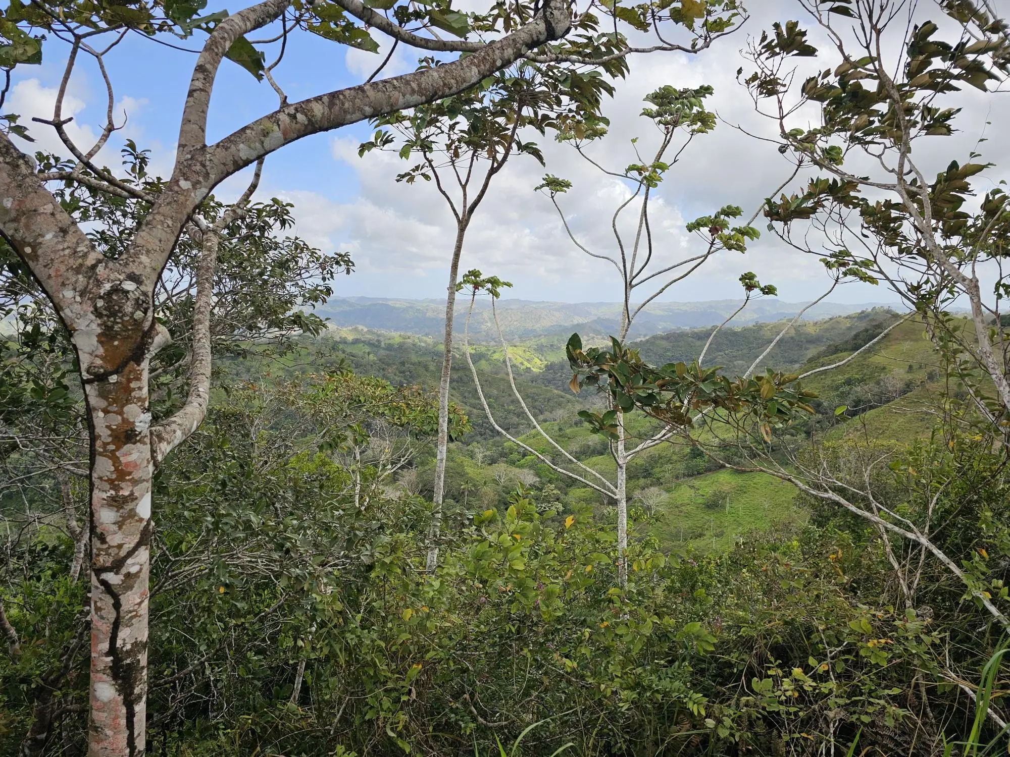 Calle Los Santos, Las Tablas, Nuario - Photo 15