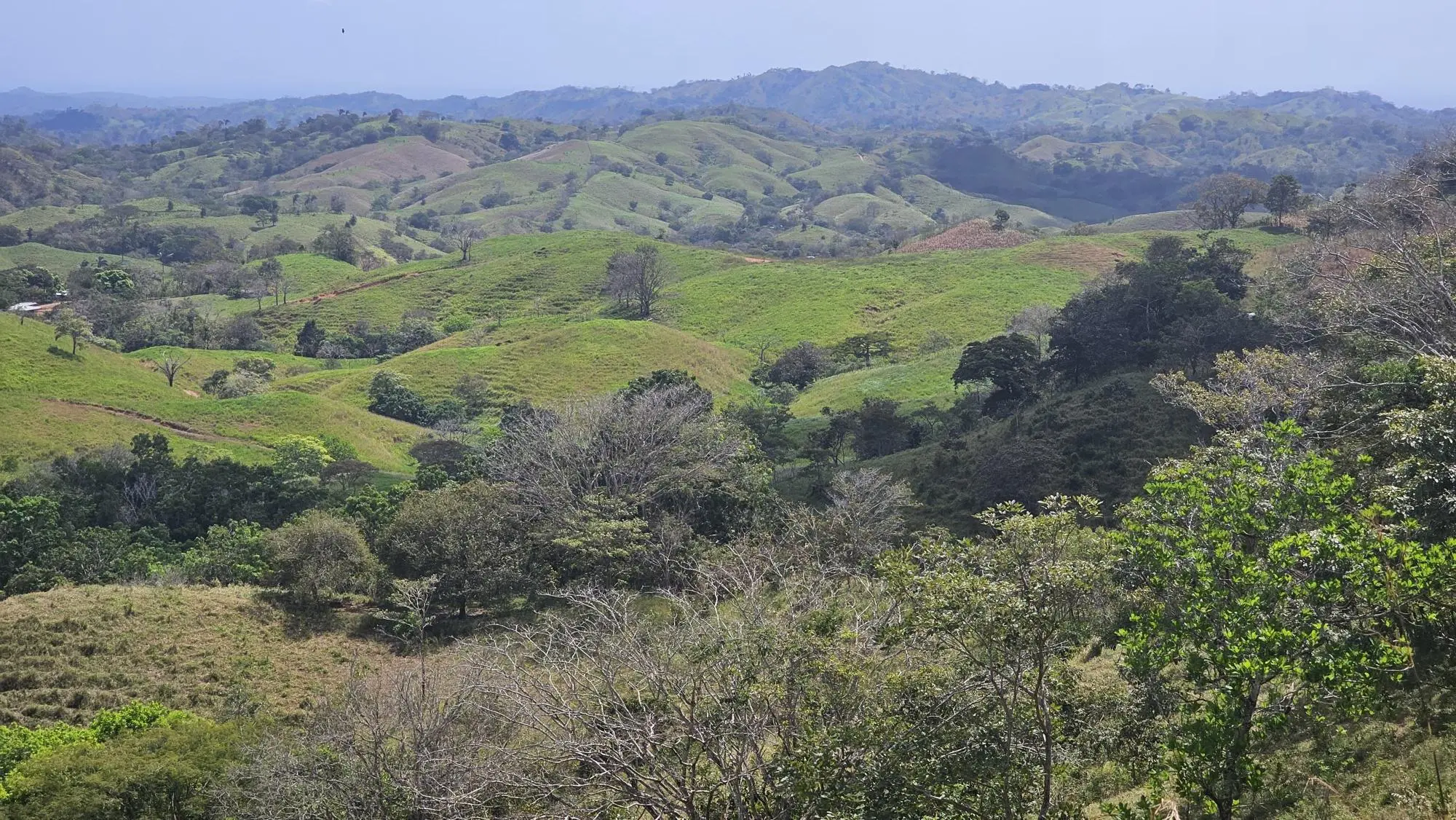 Calle Los Santos, Las Tablas, Nuario - Photo 26