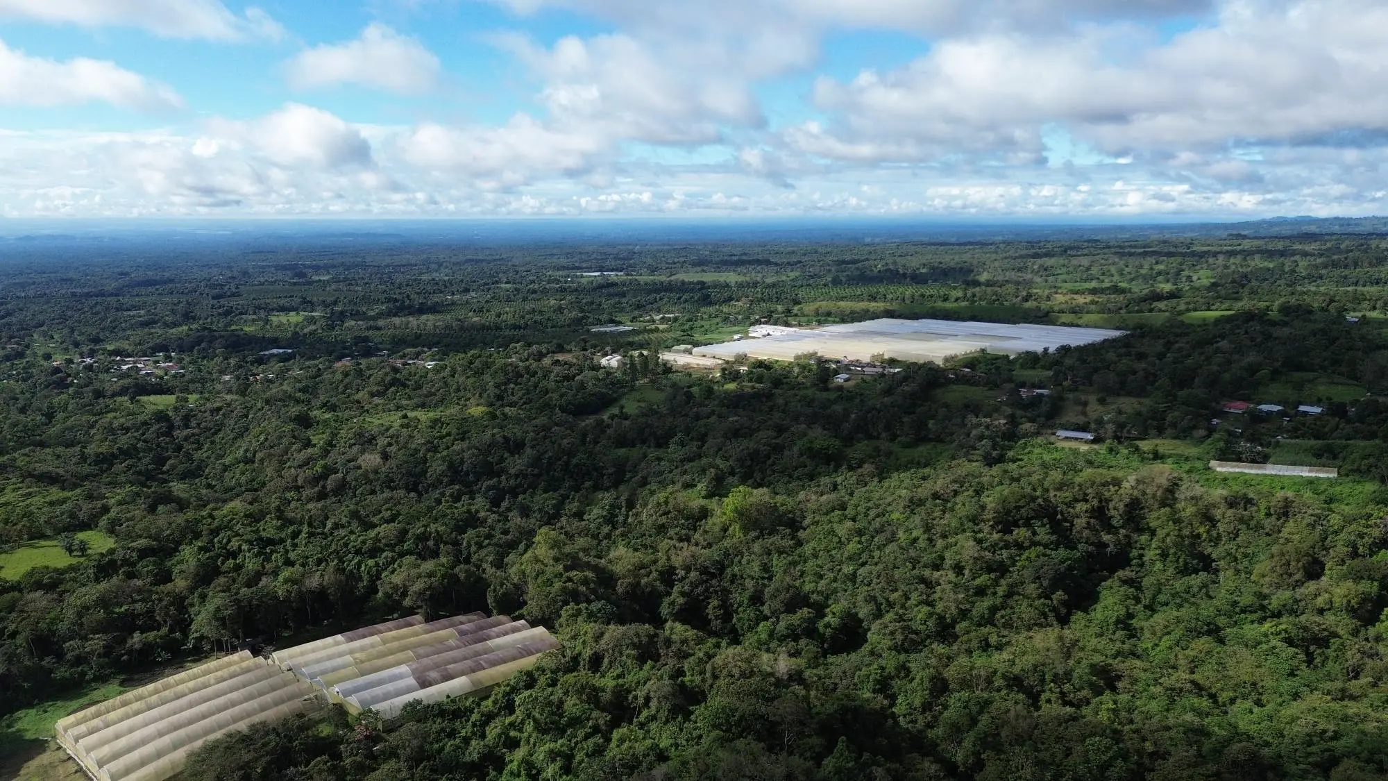 Potrerillos, Dolega, Chiriqui - Photo 21