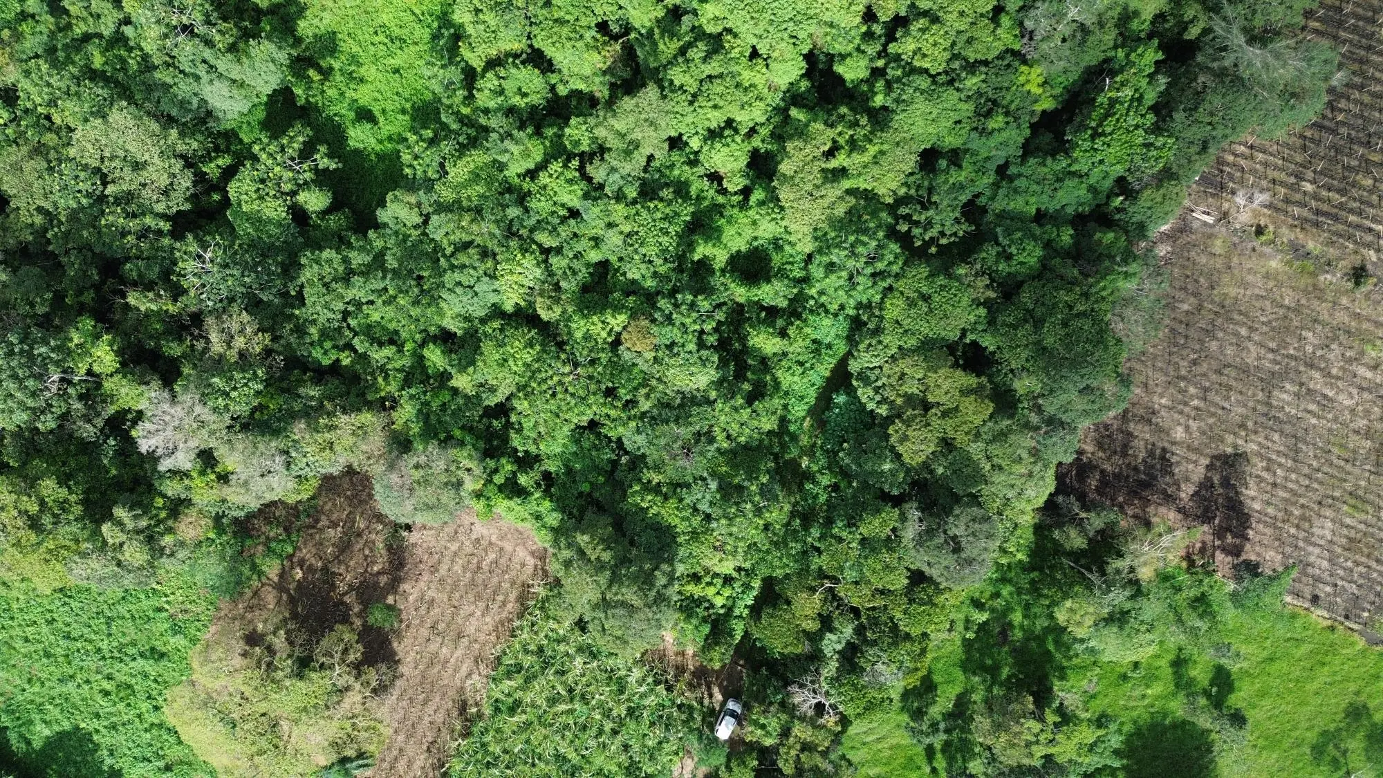 Potrerillos, Dolega, Chiriqui - Photo 56