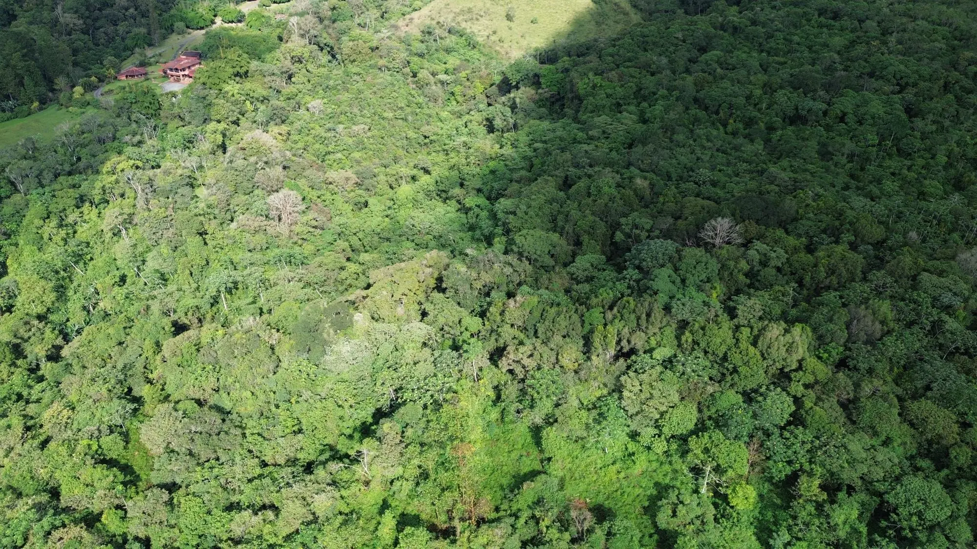 Potrerillos, Dolega, Chiriqui - Photo 44