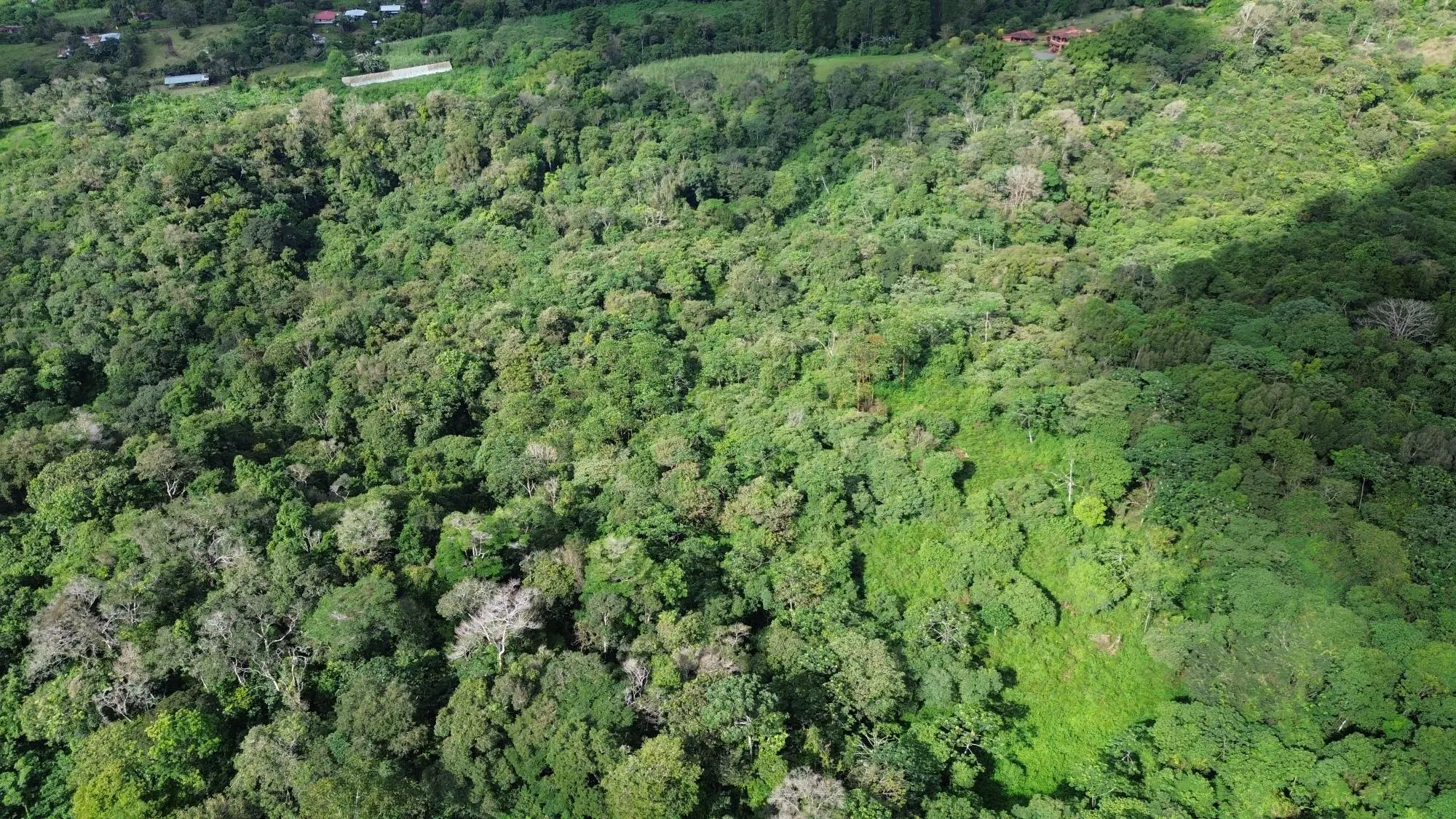 Potrerillos, Dolega, Chiriqui - Photo 53