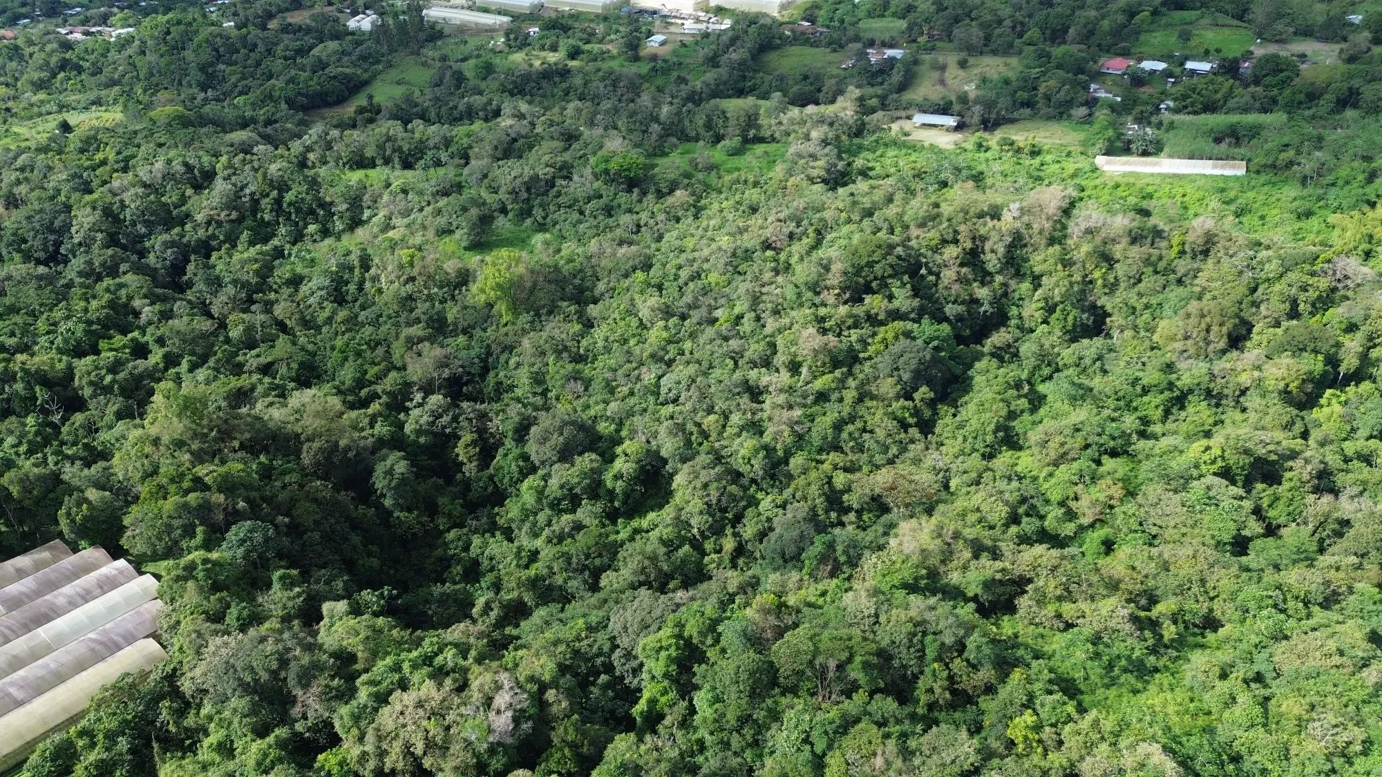 Potrerillos, Dolega, Chiriqui - Photo 46