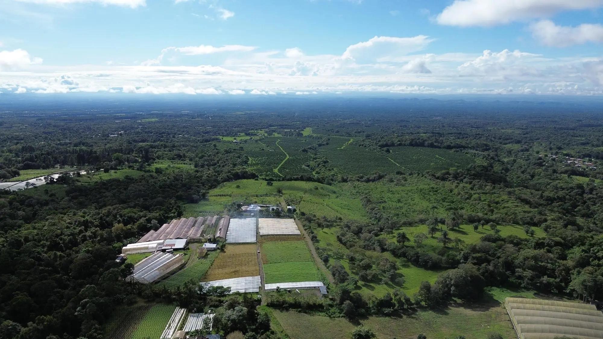 Potrerillos, Dolega, Chiriqui - Photo 26