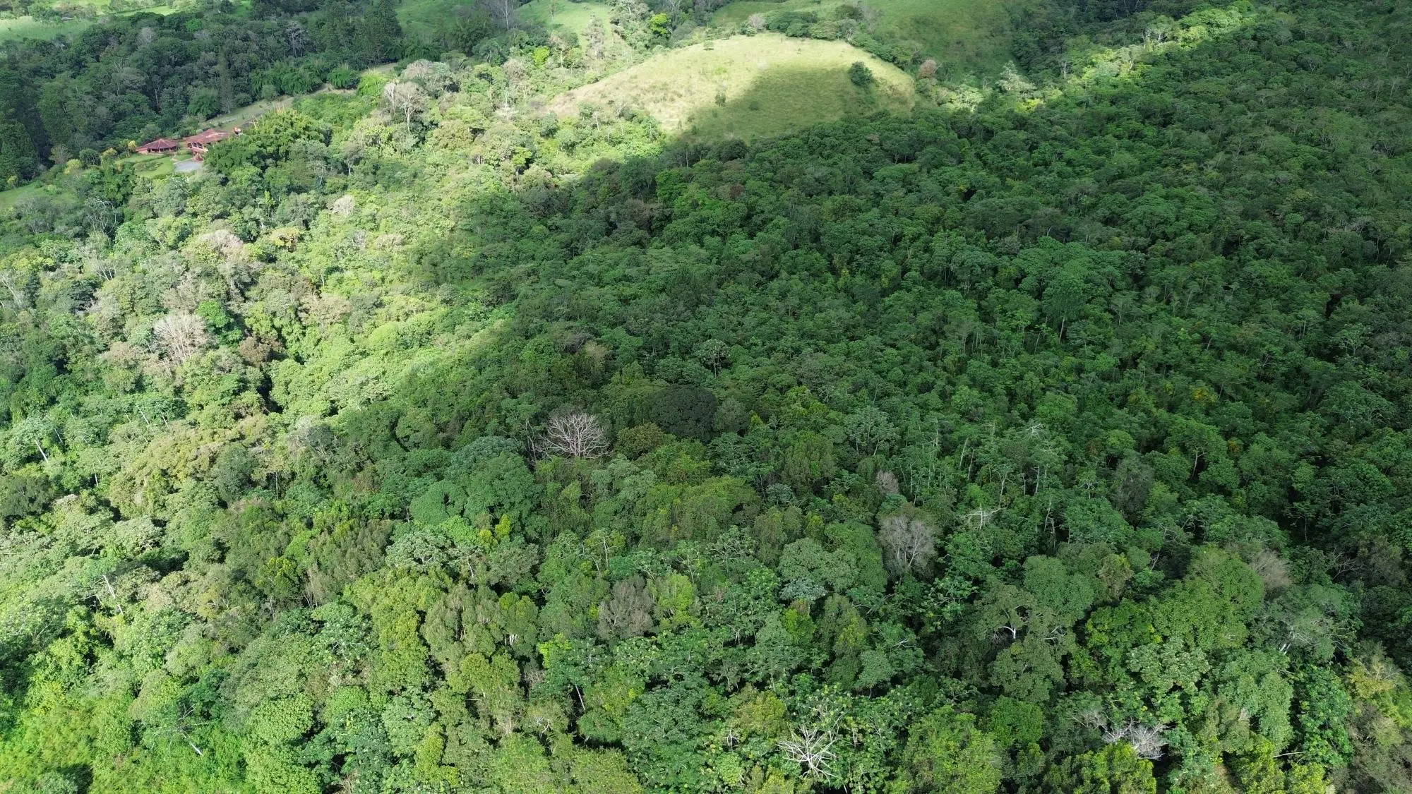Potrerillos, Dolega, Chiriqui - Photo 61