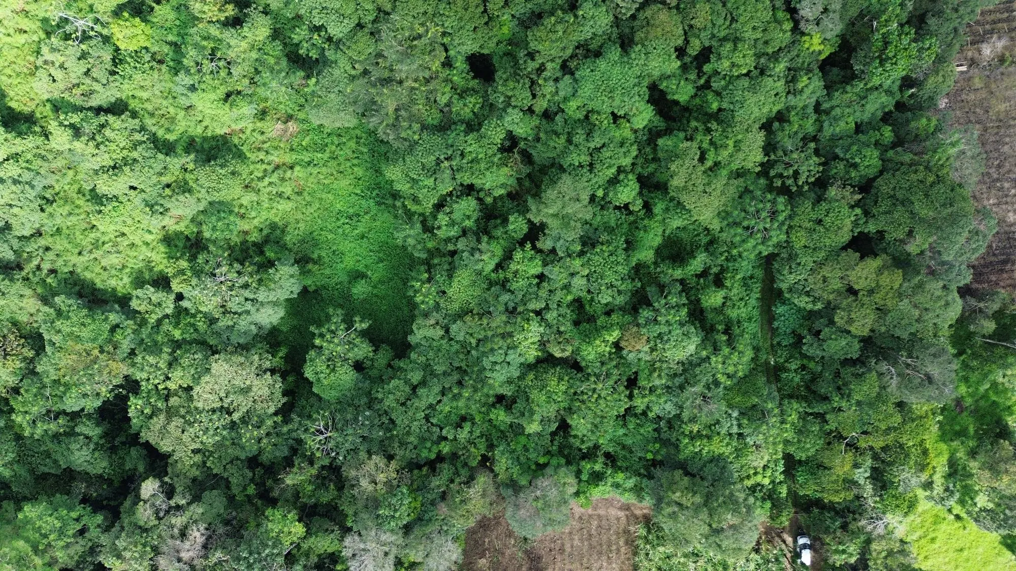 Potrerillos, Dolega, Chiriqui - Photo 36