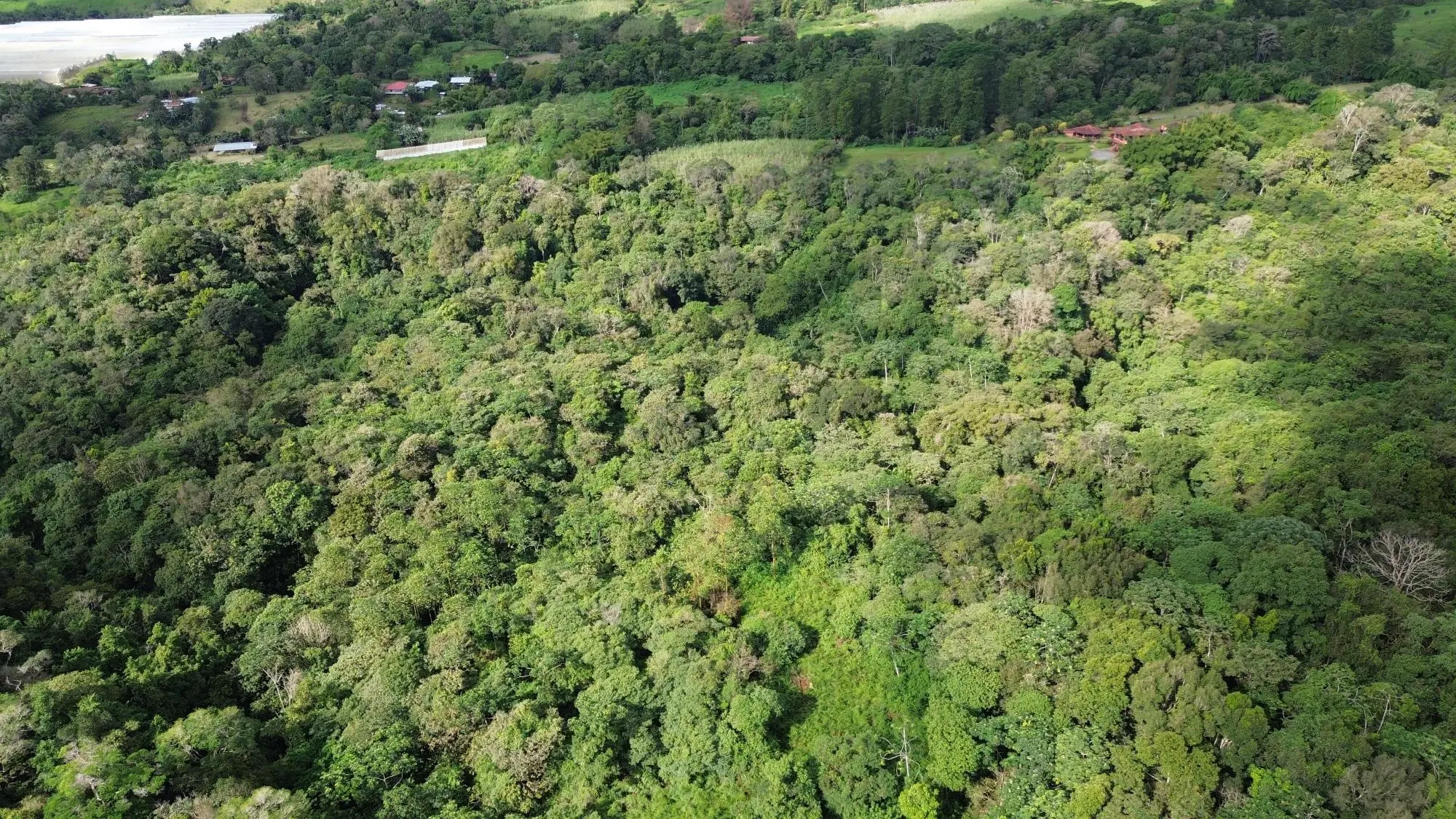 Potrerillos, Dolega, Chiriqui - Photo 68