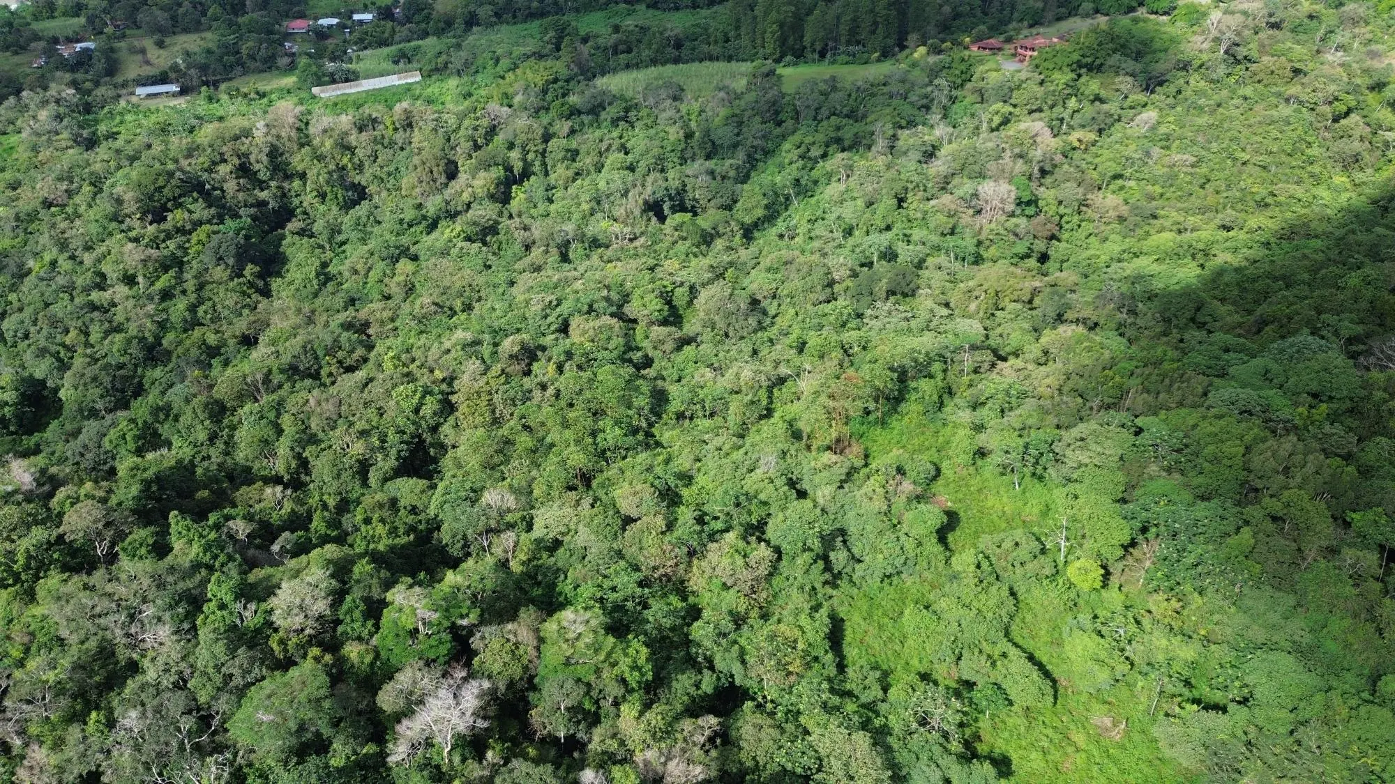 Potrerillos, Dolega, Chiriqui - Photo 50