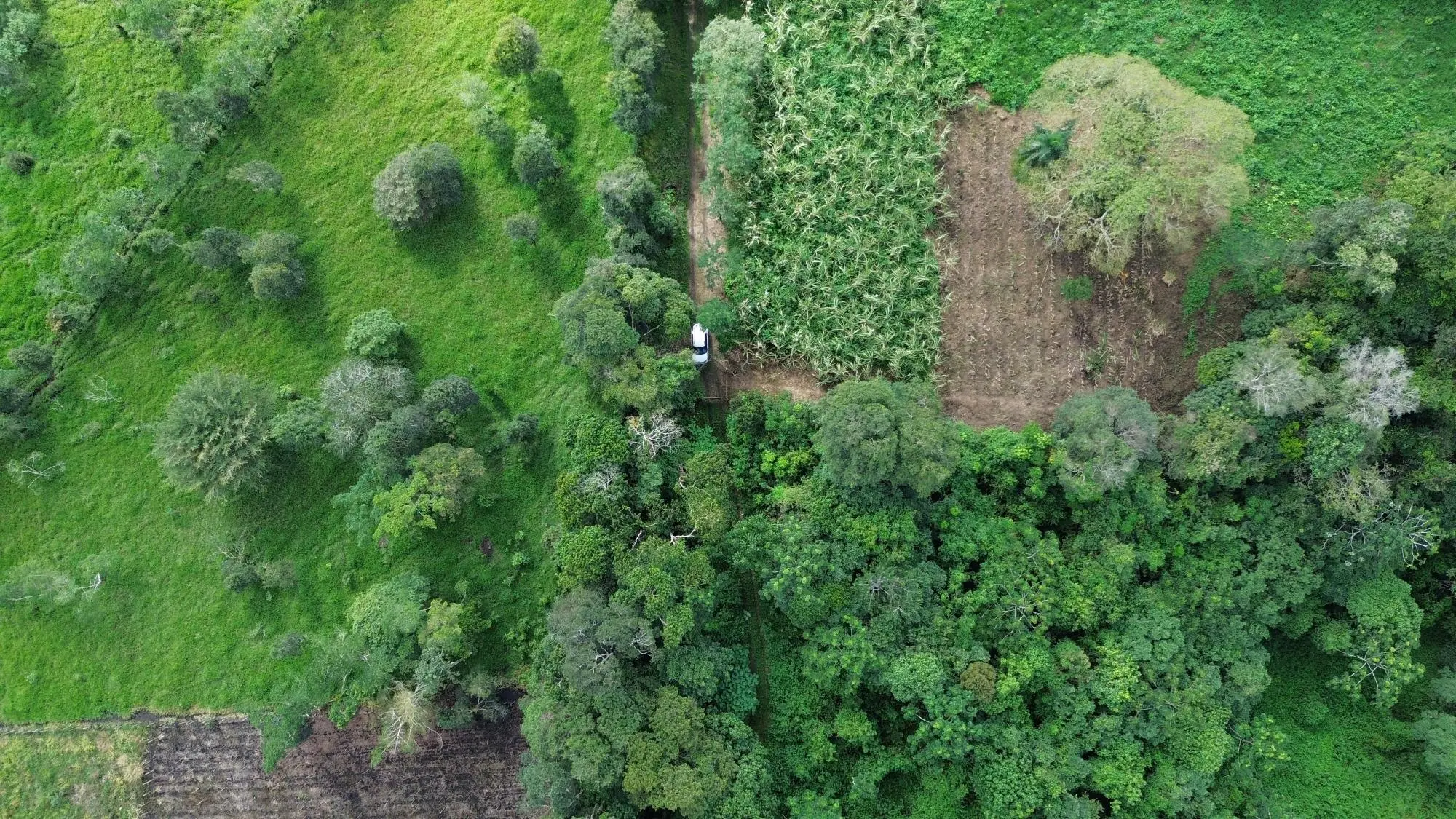 Potrerillos, Dolega, Chiriqui - Photo 30
