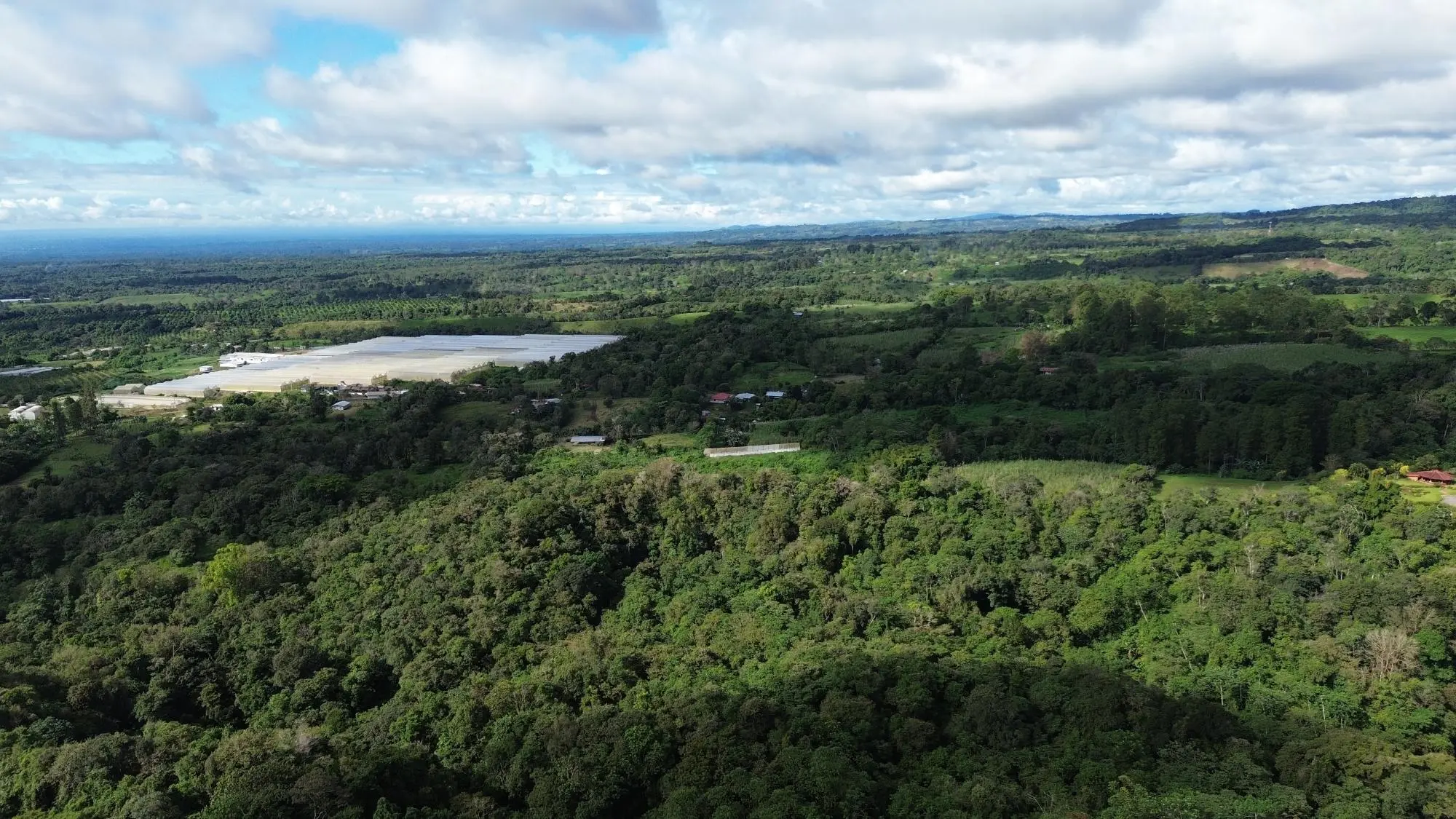 Potrerillos, Dolega, Chiriqui - Photo 23