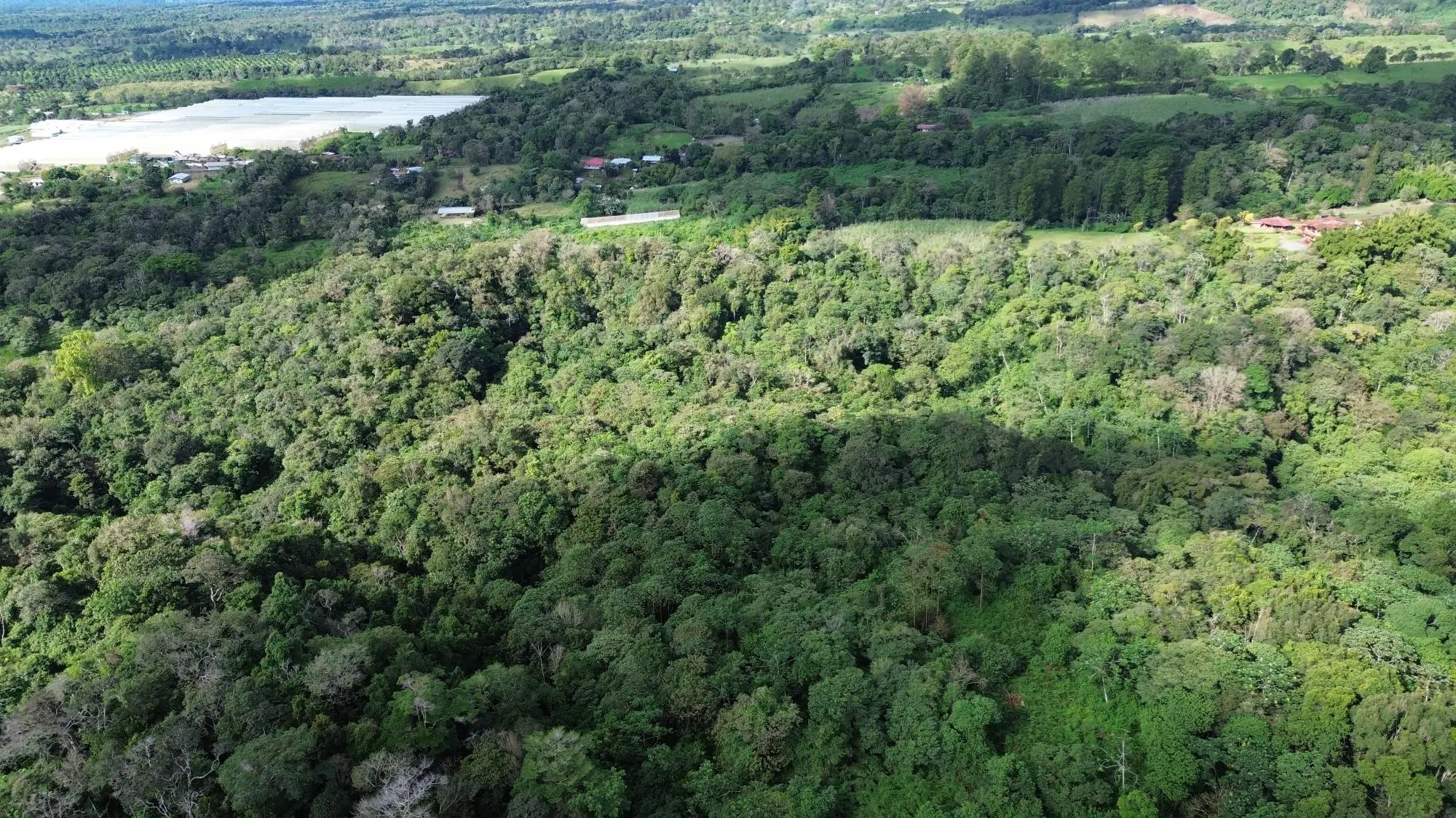 Potrerillos, Dolega, Chiriqui - Photo 13