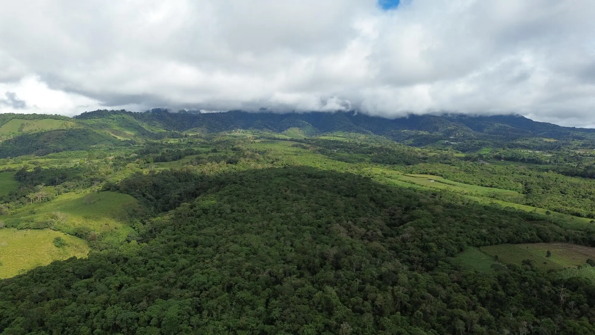 Potrerillos, Dolega, Chiriqui - Photo 77