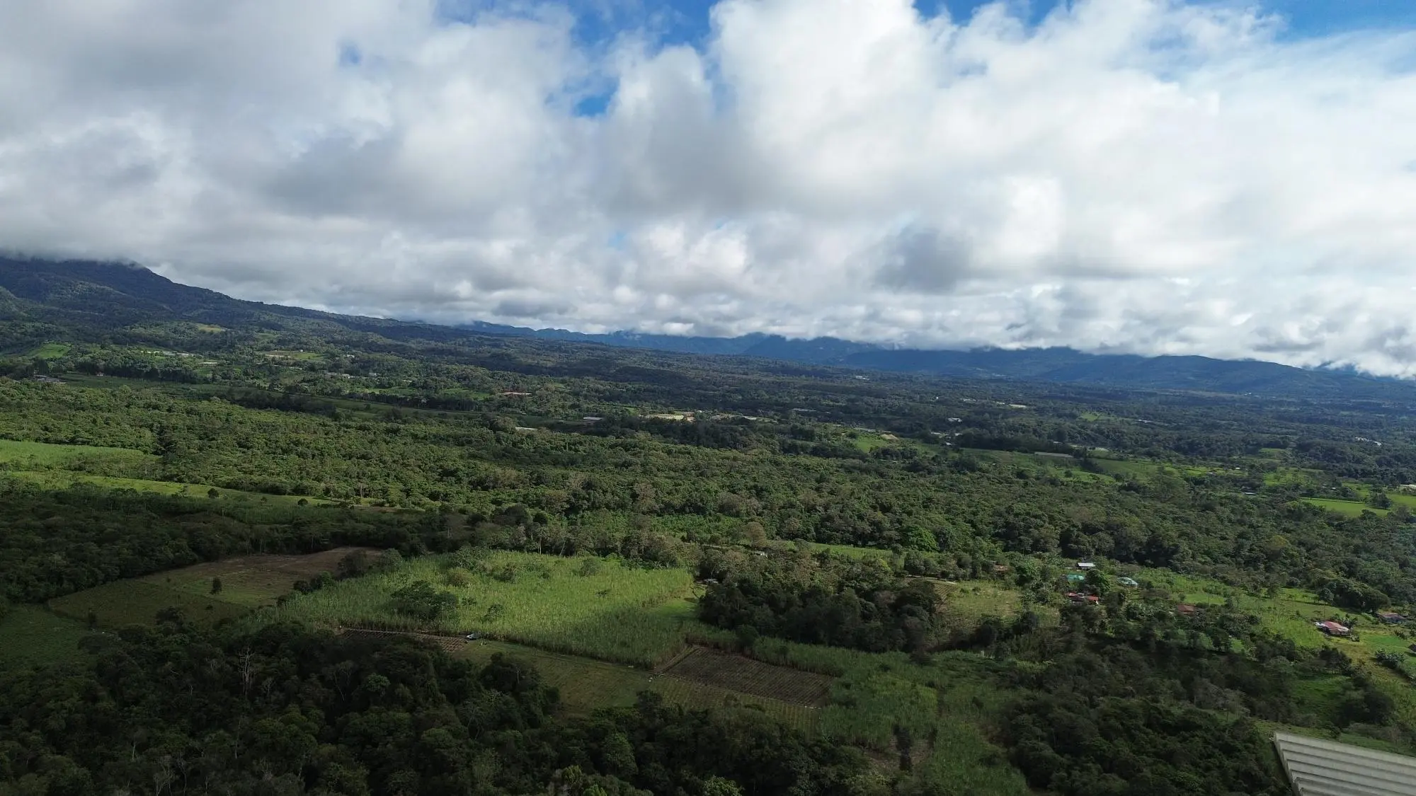 Potrerillos, Dolega, Chiriqui - Photo 81