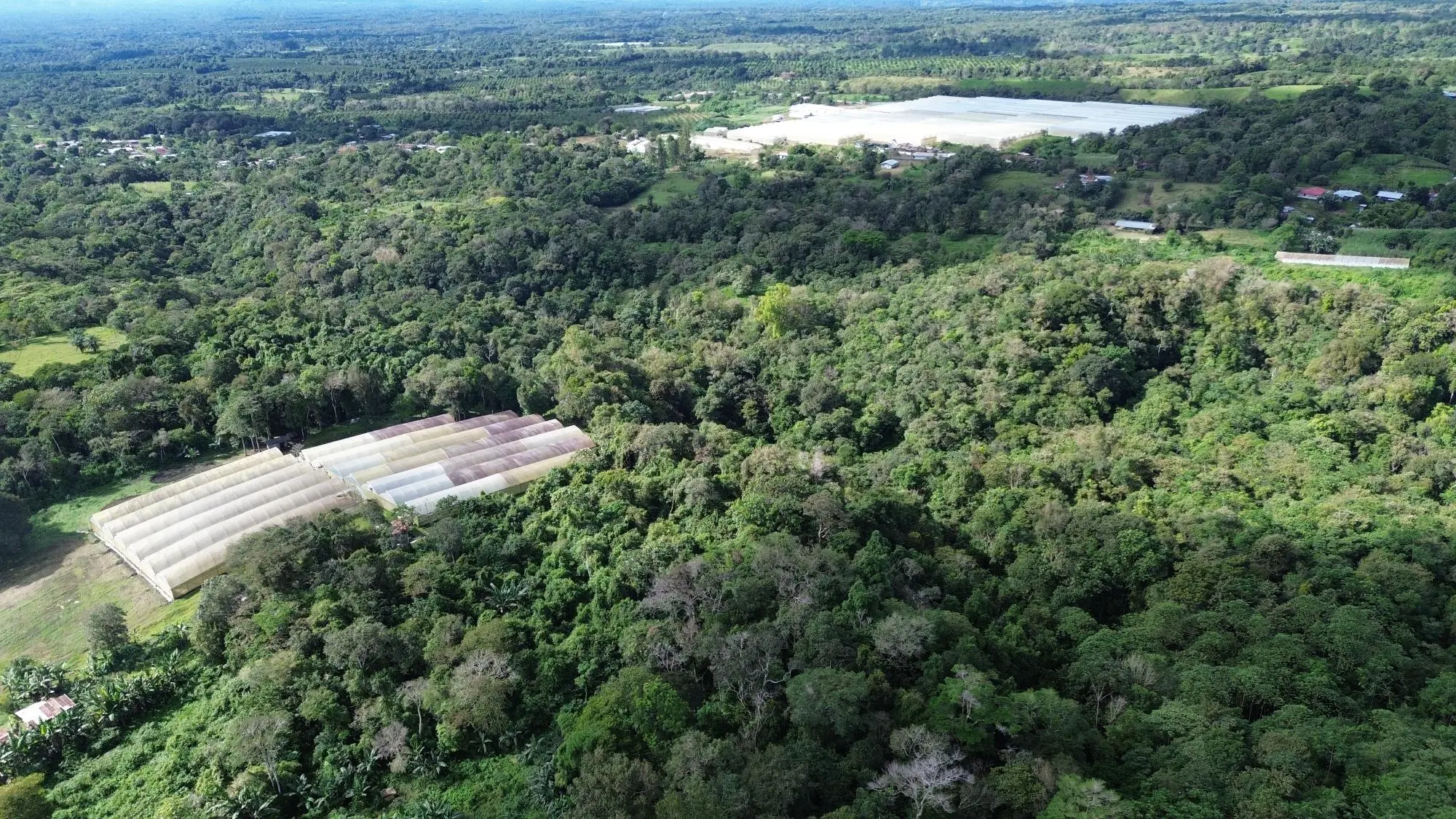 Potrerillos, Dolega, Chiriqui - Photo 16