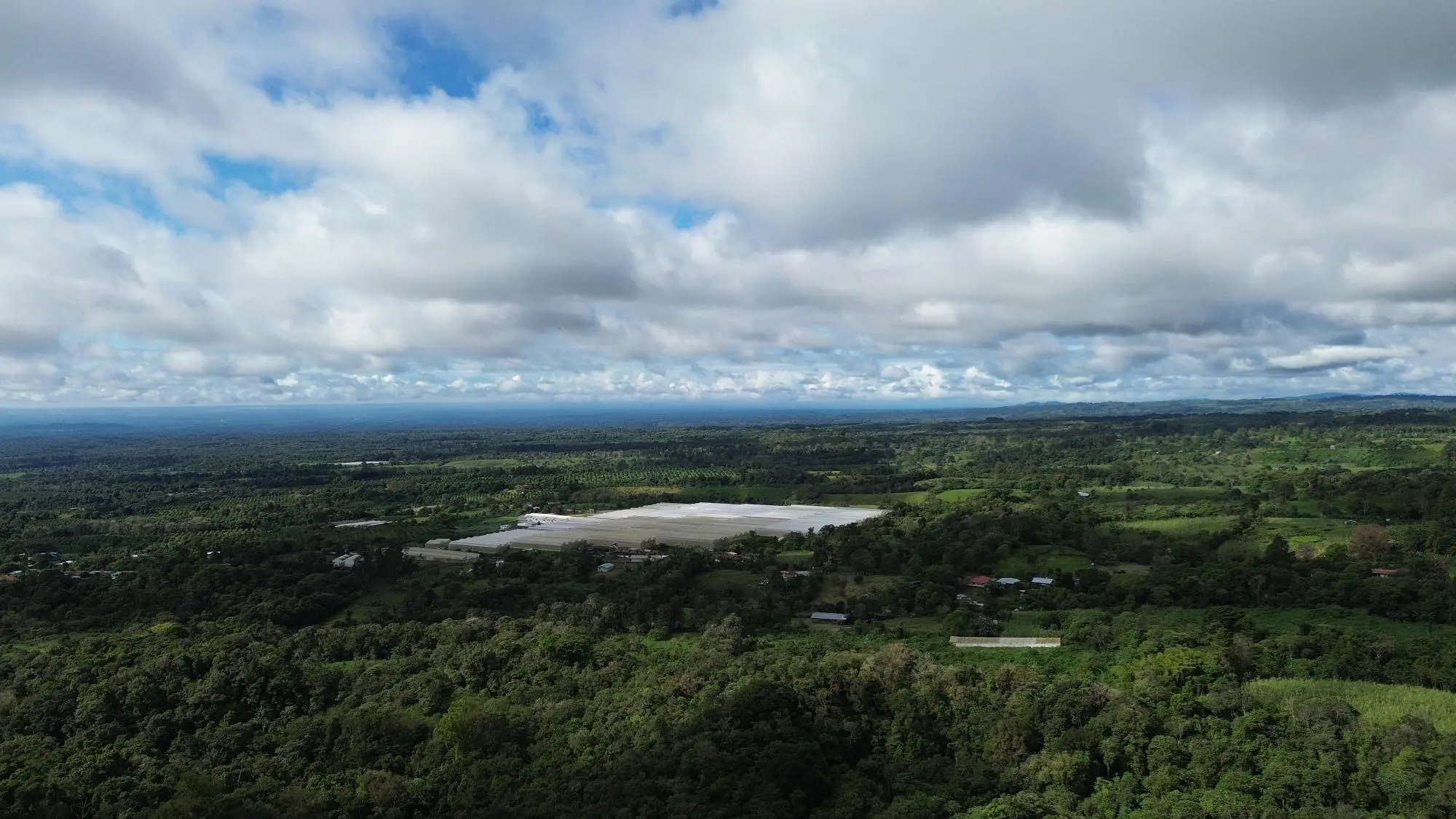 Potrerillos, Dolega, Chiriqui - Photo 88