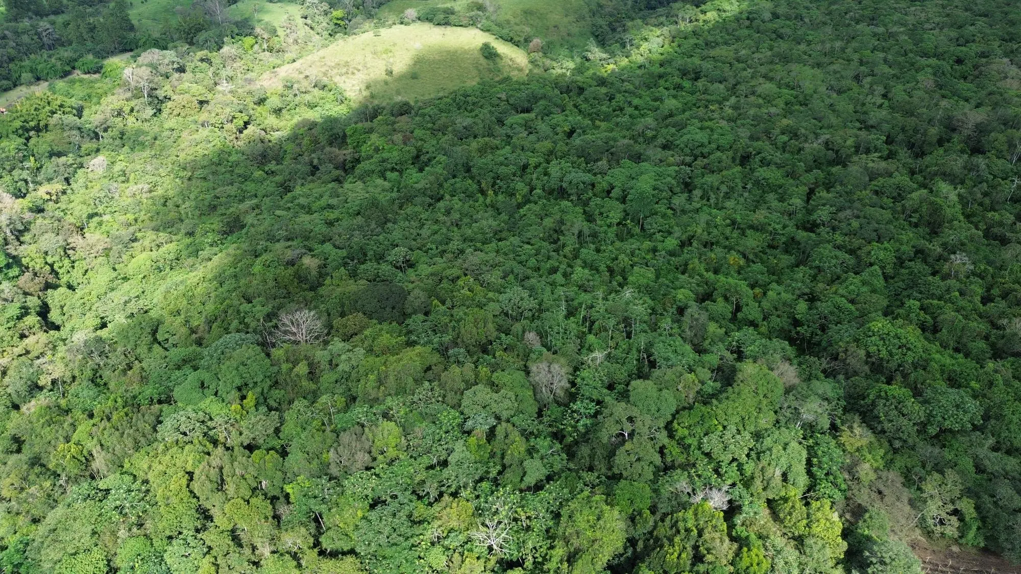 Potrerillos, Dolega, Chiriqui - Photo 66