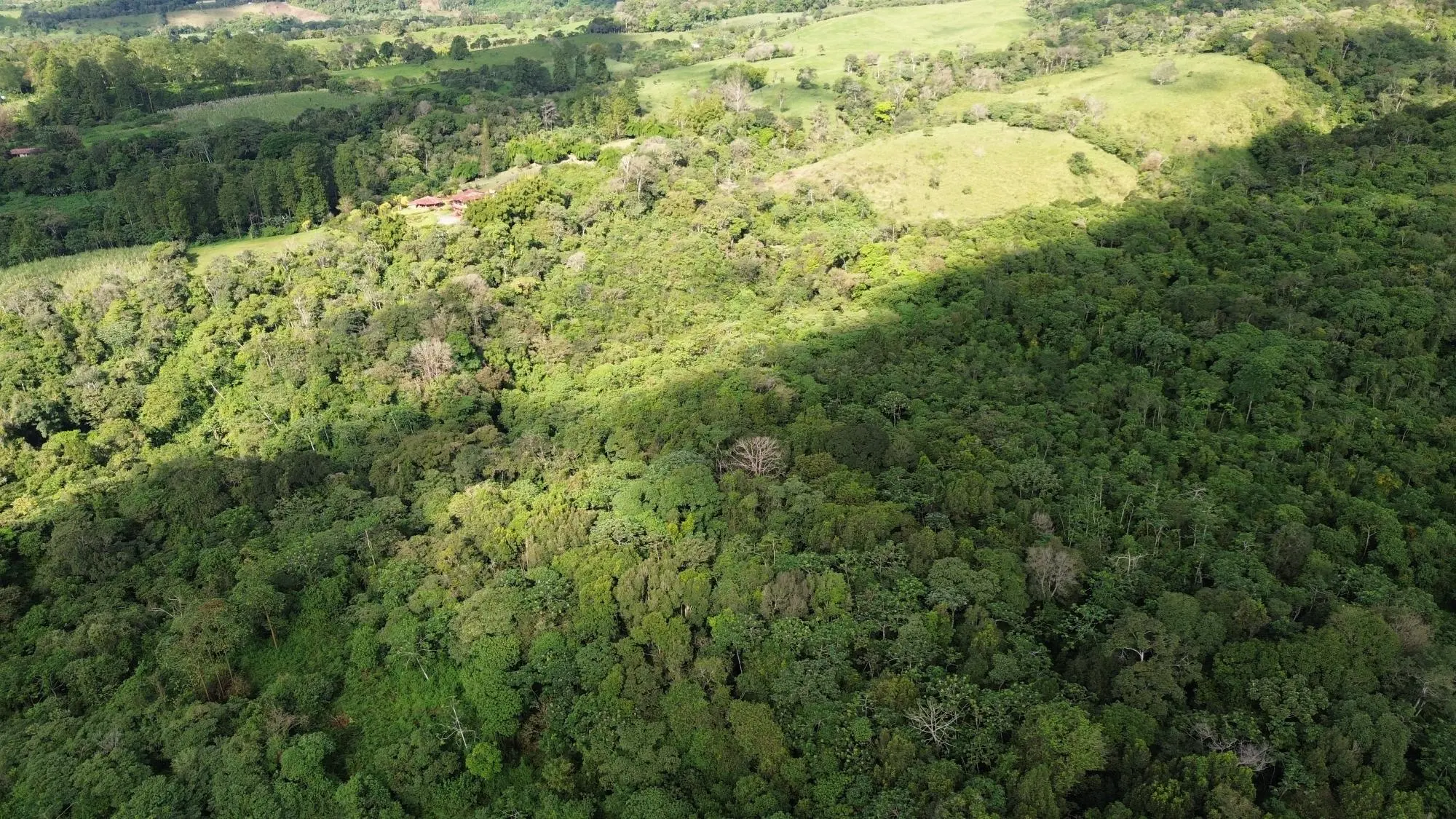 Potrerillos, Dolega, Chiriqui - Photo 11