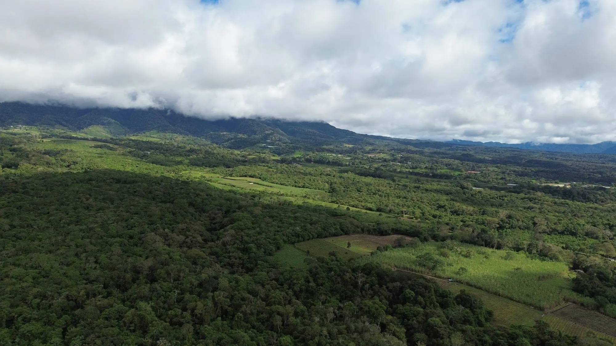 Potrerillos, Dolega, Chiriqui - Photo 95