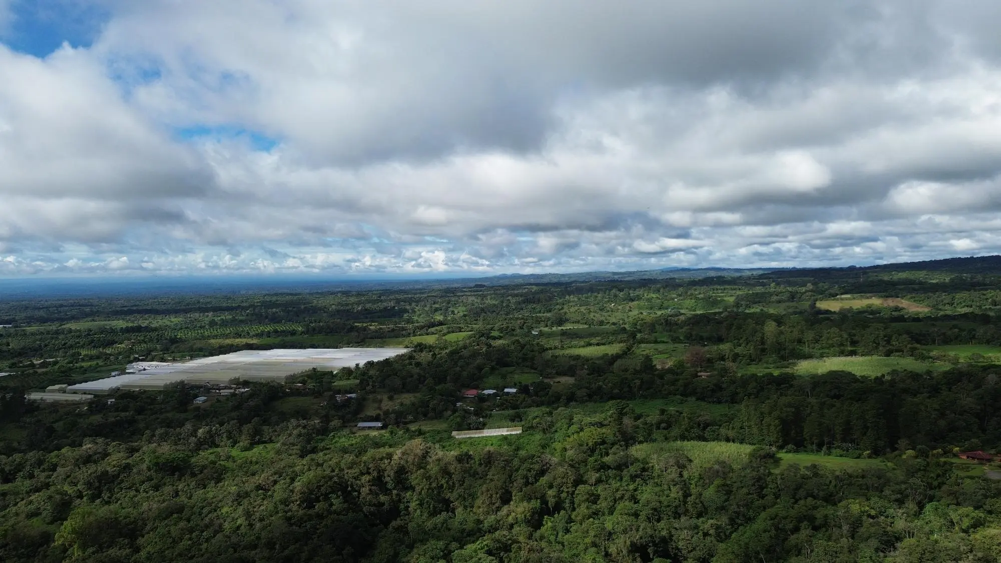 Potrerillos, Dolega, Chiriqui - Photo 72