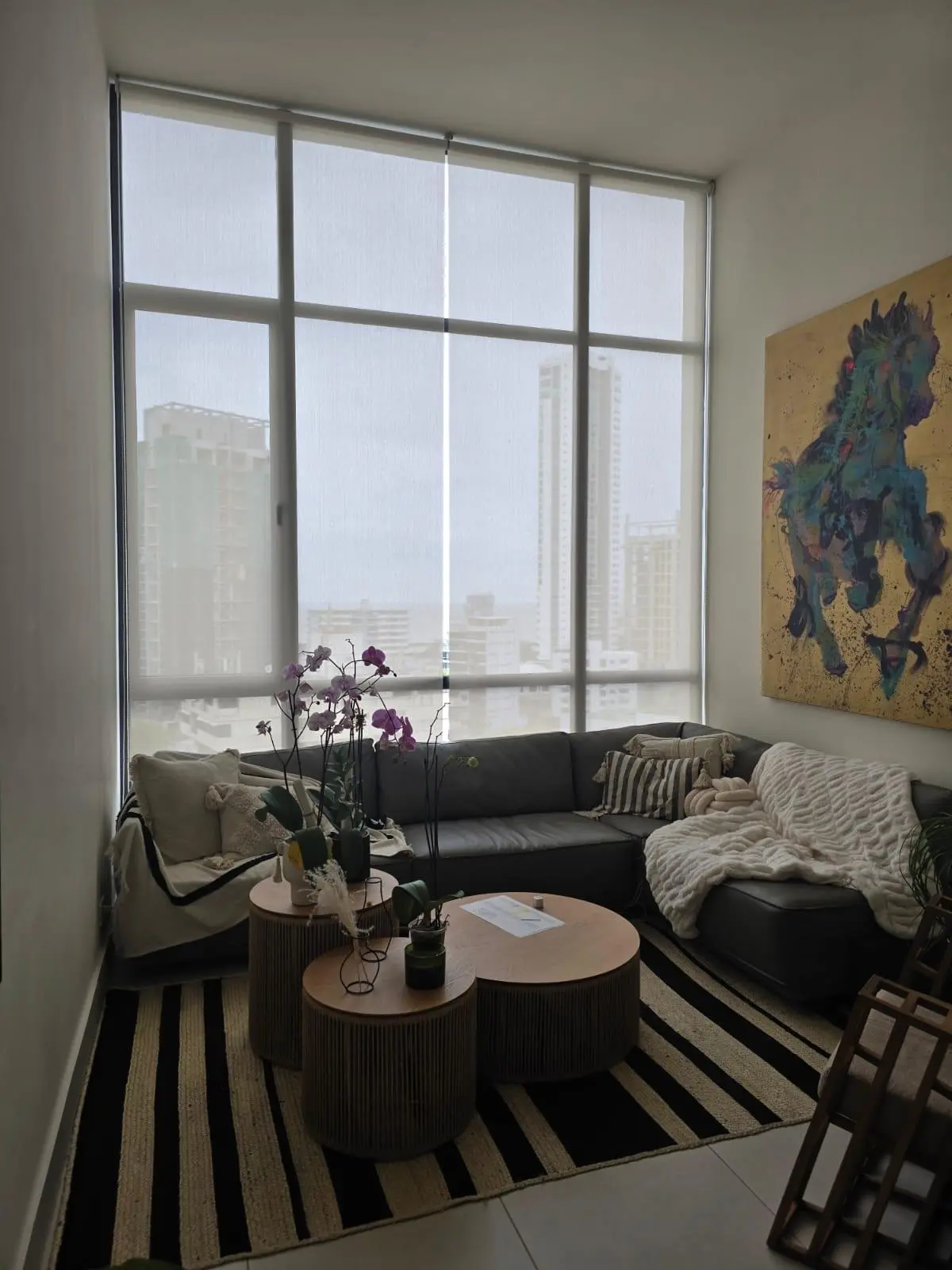 ave cincuentenario #905