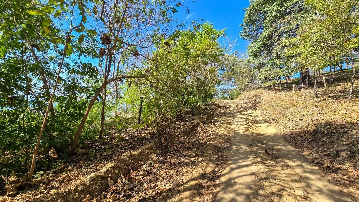 Horcones, Cambutal - Photo 29